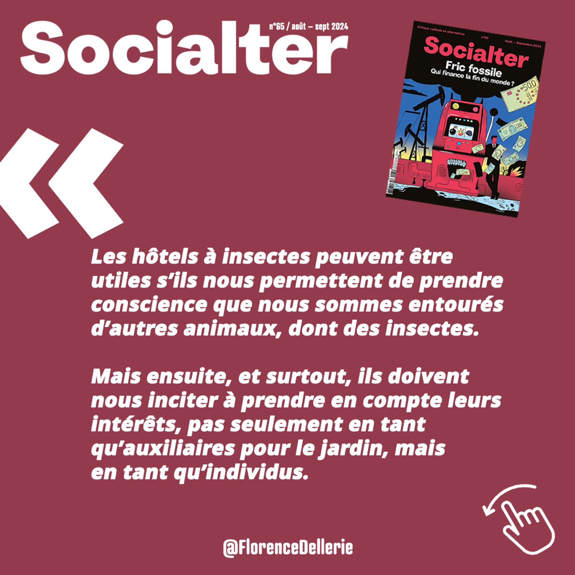 Visuel carré montrant une citation extraite de l'article : "Les hôtels à insectes peuvent être utiles s’ils nous permettent de prendre conscience que nous sommes entourés d’autres animaux, dont des insectes.

Mais ensuite, et surtout, ils doivent nous inciter à prendre en compte leurs intérêts, pas seulement en tant qu’auxiliaires pour le jardin, mais en tant qu’individus."