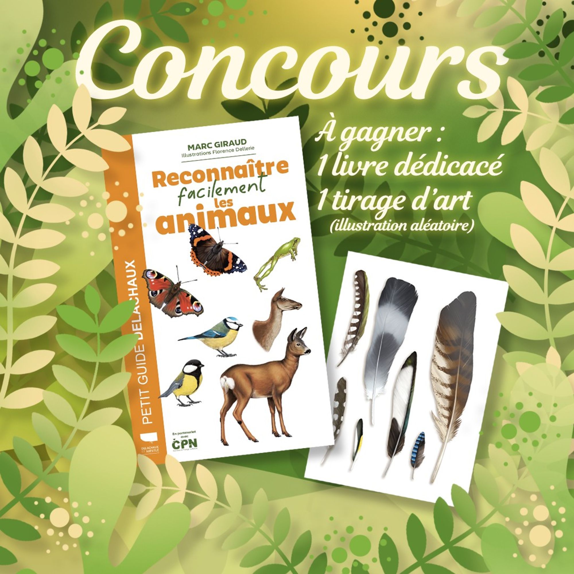 Visuel carré composé de feuillages dans différents tons de vert, dessinés en numérique. En haut, on peut lire "Concours" et dessous, le texte "À gagner : 1 livre dédicacé + 1 tirage d'art (illustration aléatoire). Juste en-dessous, on peut voir le livre et un exemple d'illustration imprimée, représentant des plumes.