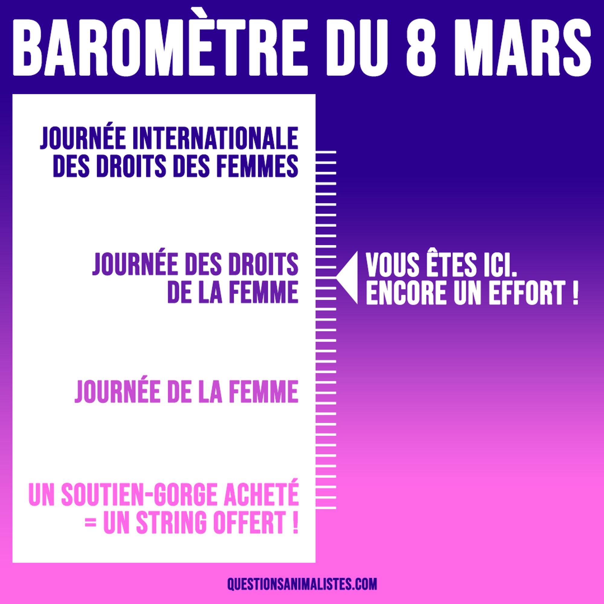 Visuel intitulé "Baromètre du 8 mars" qui montre une graduation qui va de l'intitulé "Journée internationale des droits des femmes" (tout en haut), à "Journée des droits de la femme", puis à "Journée de la femme", et enfin à "Un soutien-gorge acheté = un string offert", tout en bas. 

Une flèche montre le 2e intitulé avec la mention : "Vous êtes ici. Encore un effort !"