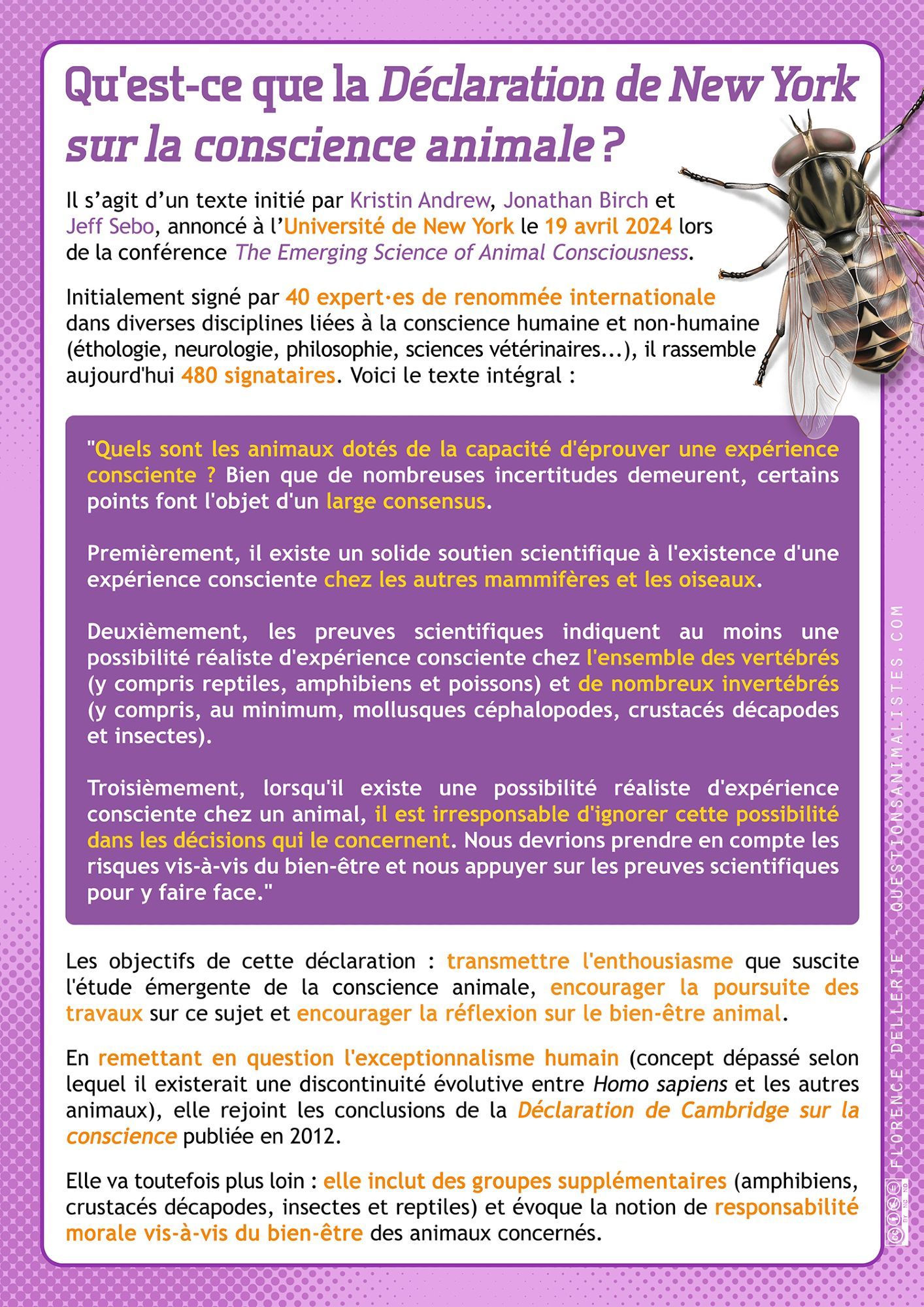 Fiche "Déclaration de New York sur la conscience animale", texte complet ici : https://questionsanimalistes.com/declaration-de-new-york-sur-la-conscience-animale/