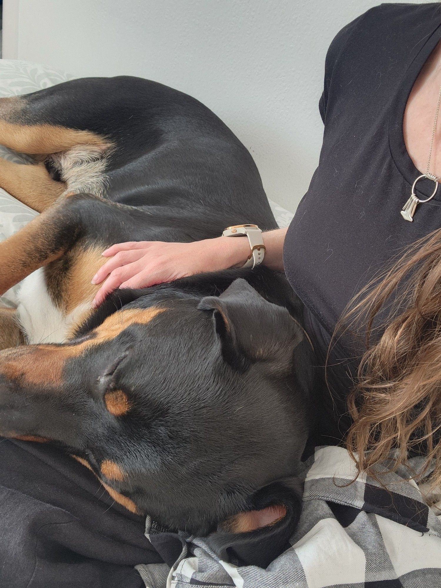 A rottie cross with his head on my lap