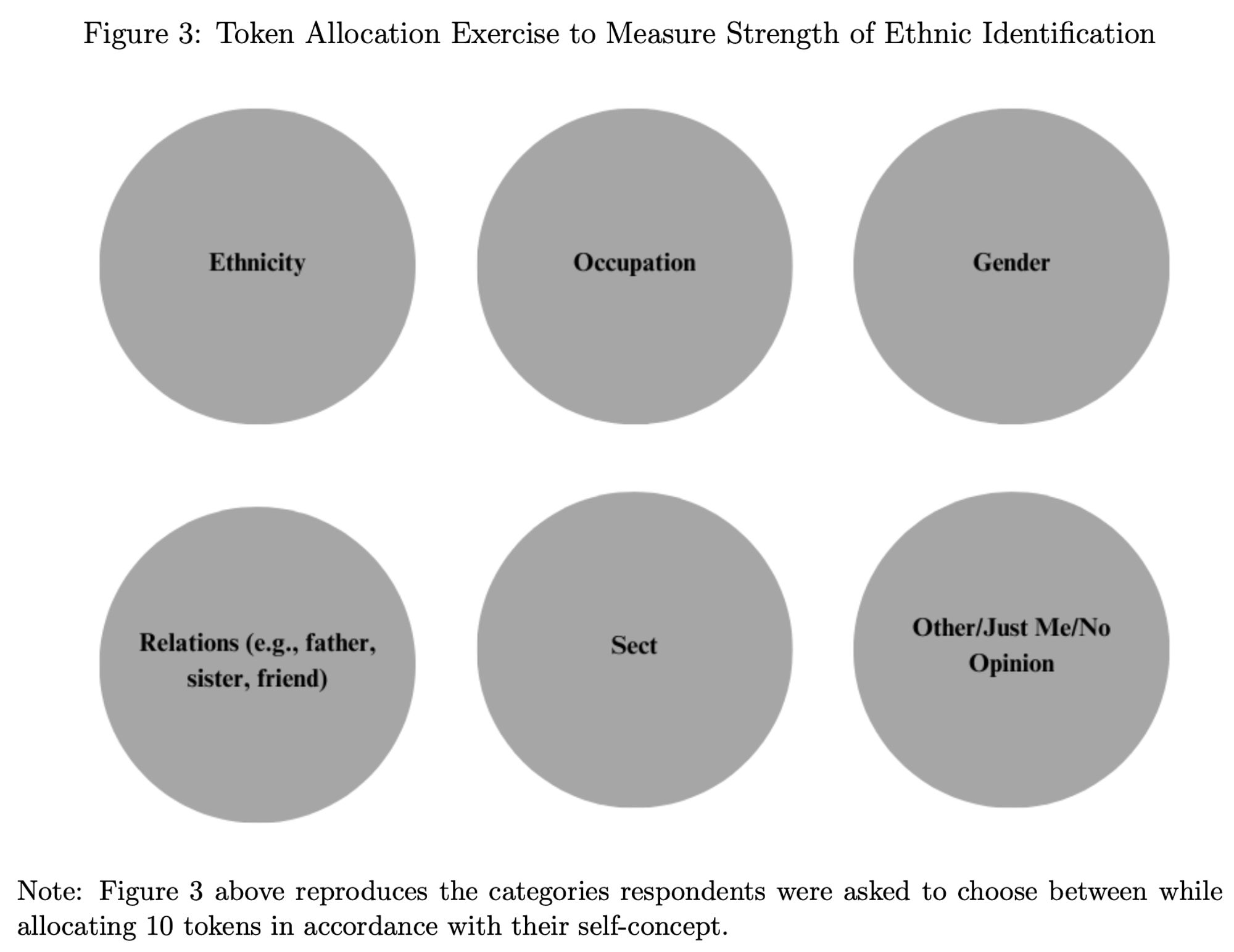 Figure 3: Token Allocation Exercise to Measure Strength of Ethnic Identification. Figure 3 above reproduces the categories respondents were asked to choose between while allocating 10 tokens in accordance with their self-concept.