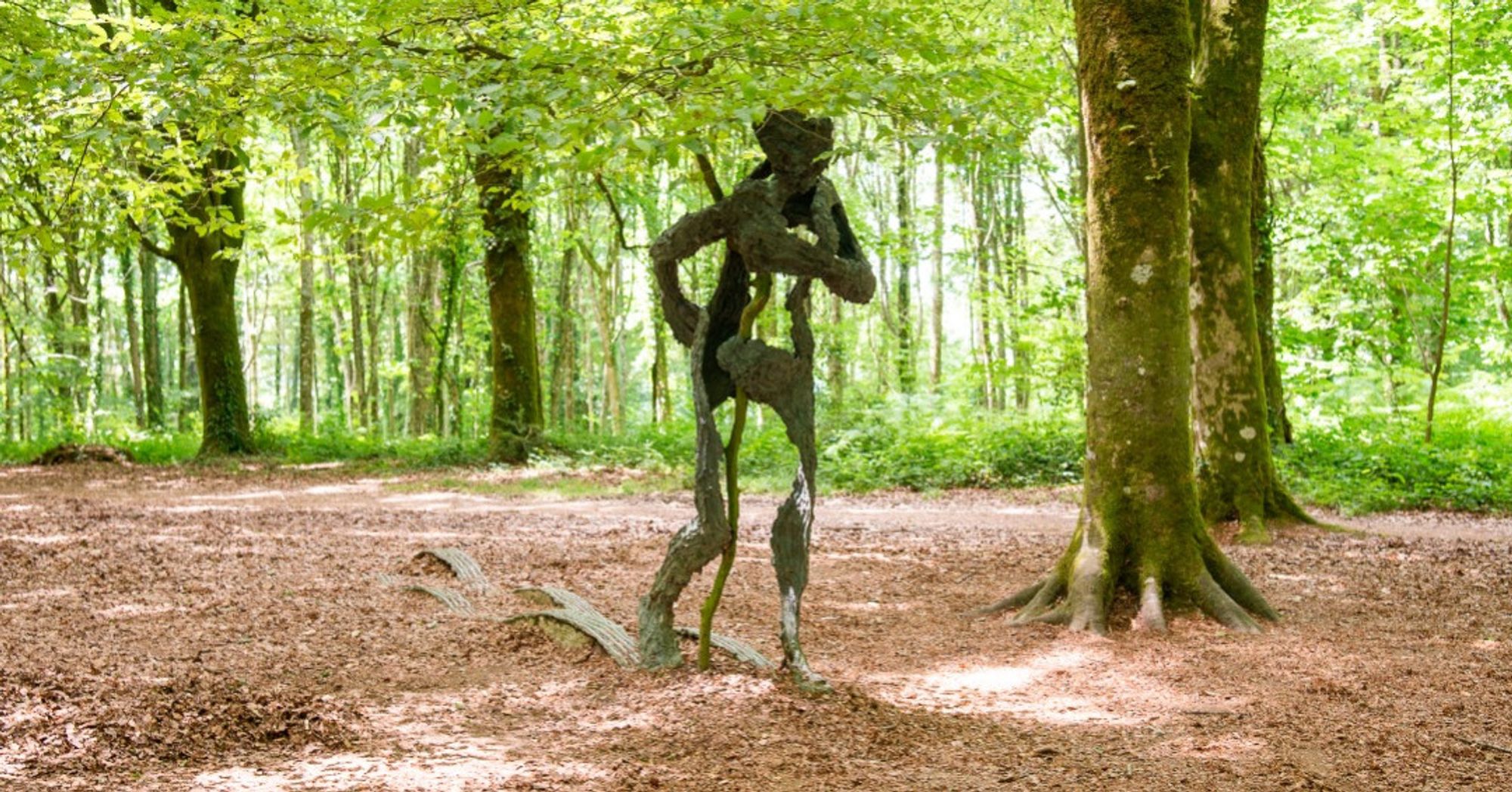 Sentier de charme - Giuseppe Penone - 1986
Le corps humain est souvent au coeur de les créations de Guiseppe Penone, comme ici avec Sentier de charme, où un arbre pousse au travers d’un personnage. Le corps en bronze, imitant l’aspect de l’écorce, dialogue intimement avec la nature qui l’entoure. En position de marche, le personnage laisse au sol les traces de son passage, allusion faite à l’impact de l’Homme sur la nature et au désordre qu’il crée en se déplaçant.