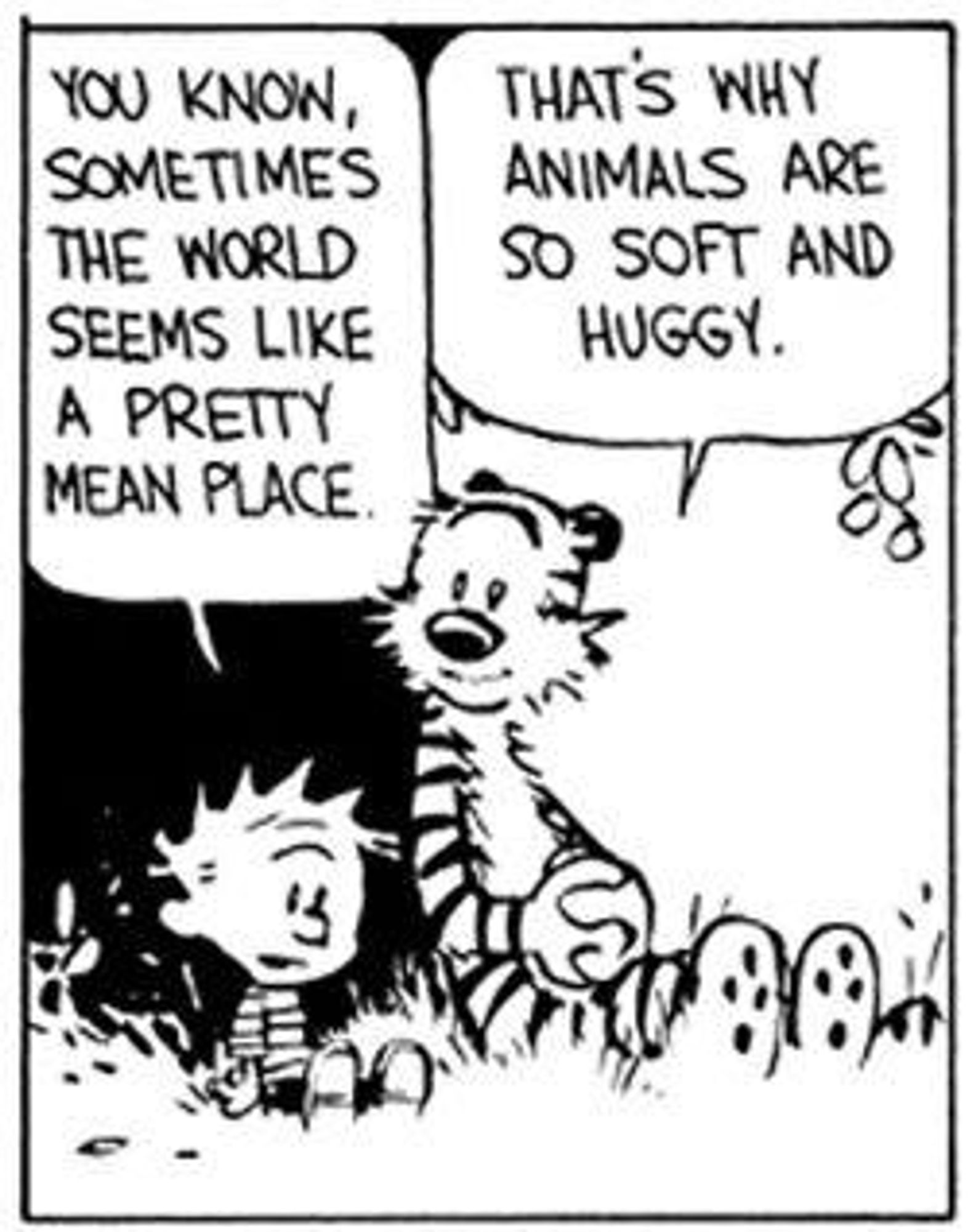 Calvin and Hobbes comic strip panel.
Calvin (young child): "You know, sometimes the world seems like a pretty mean place."
Hobbes (tiger): "That's why animals are so soft and huggy."