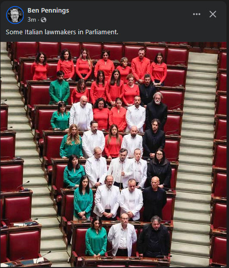 Italian lawmakers in Parliament dressed individually in colours of the Palestinian flag arranged to look like the flag.