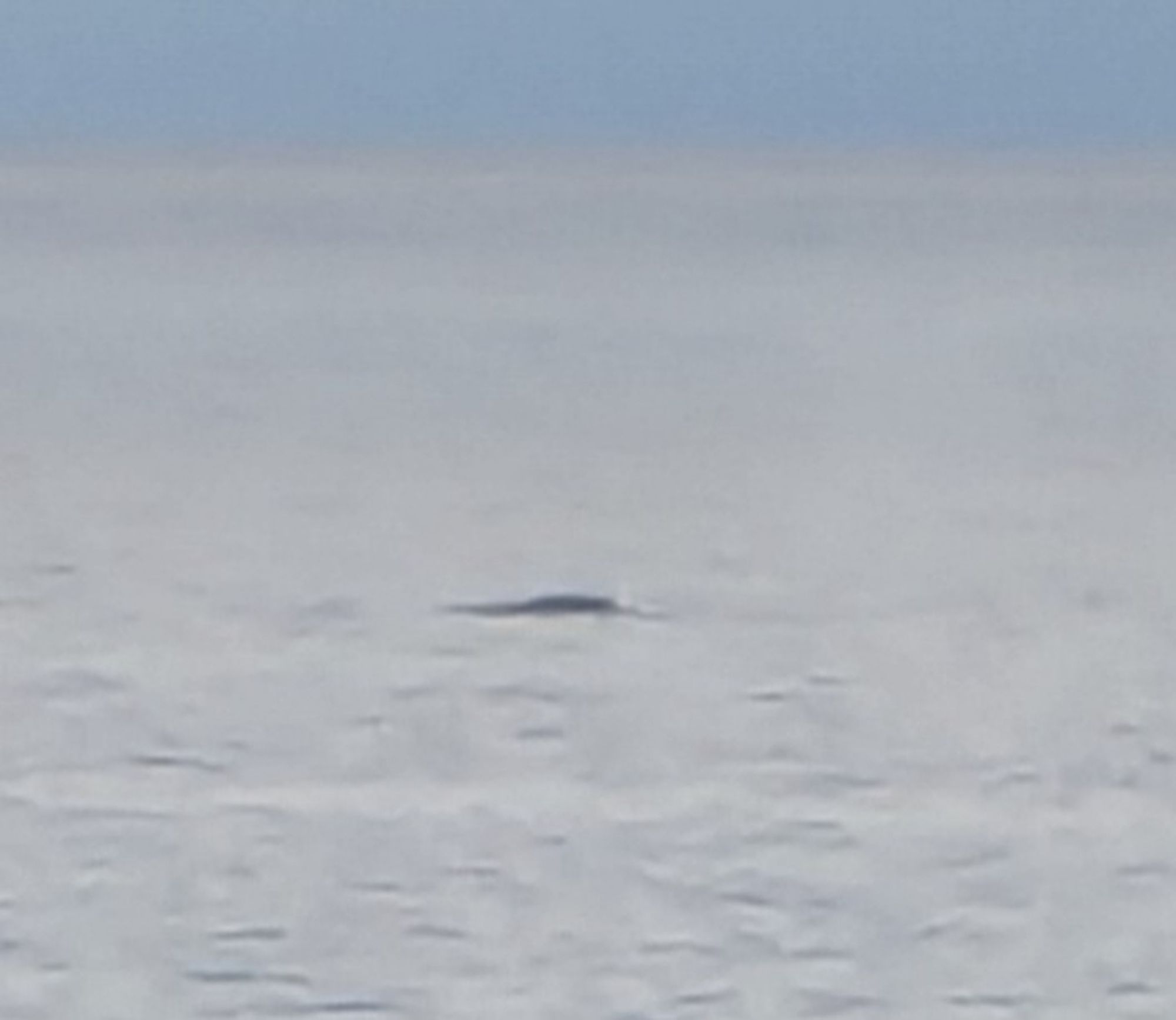 Super blurry zoomed in crop whale pic. Could be Cadborosaurus really