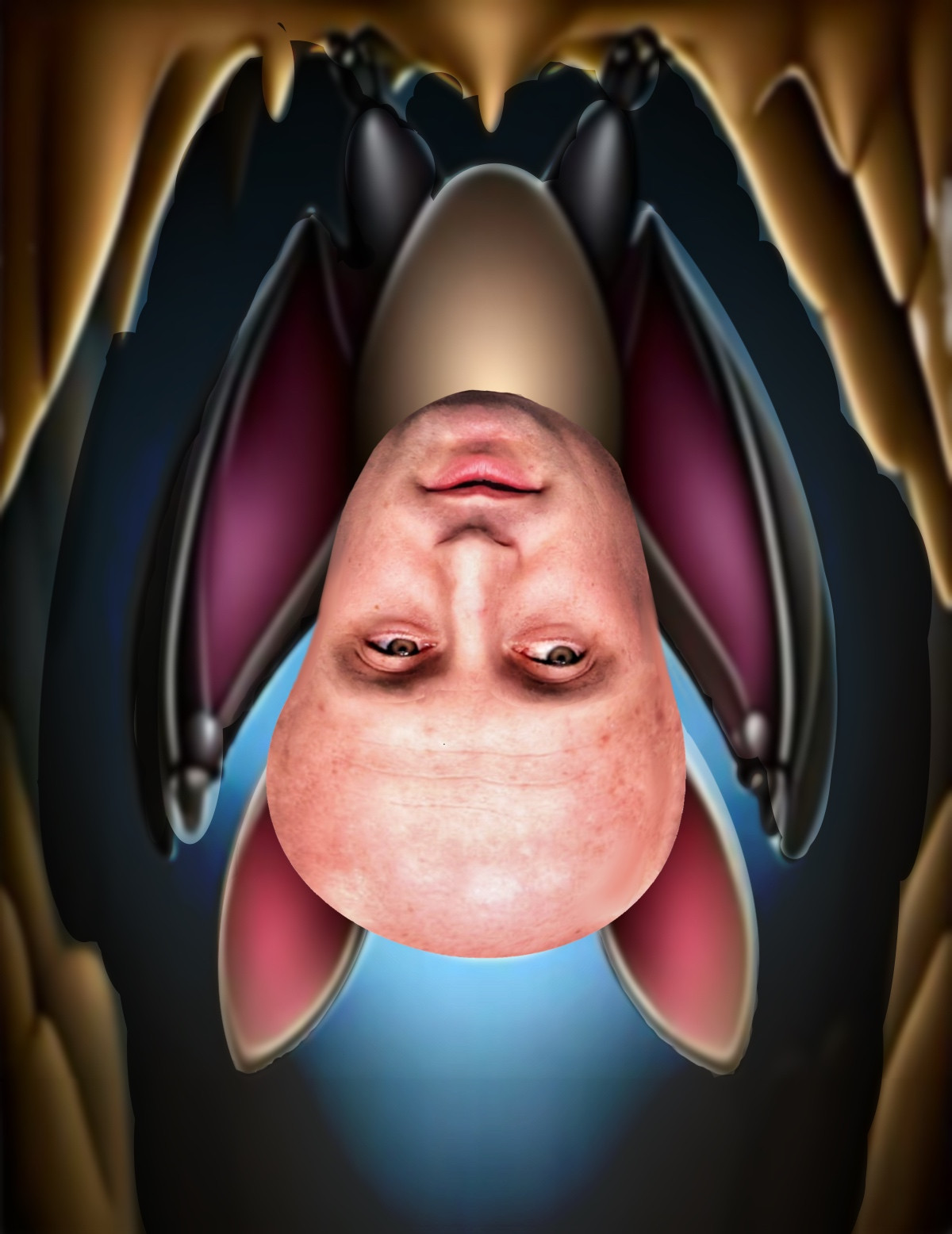 Cartoon bat hanging upside down from the cave ceiling. Looks familiar, doesn't it?