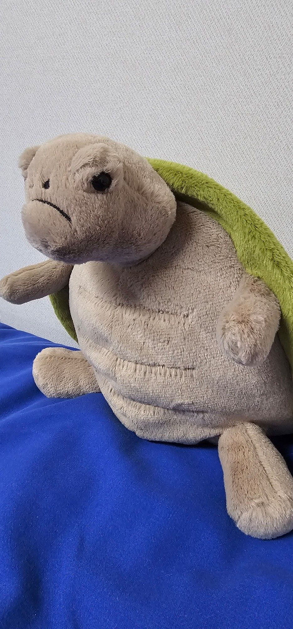 The Timmy Turtle Jellycat soft toy. He's slightly weighted in his back legs and tail which makes him side up, exposing the pale brown belly. You can see the edges of his leaf green shell, but the highlight is his face, which has a rather large frown making him look rather grumpy. 
He kind of looks like he's ready fight someone, to be honest