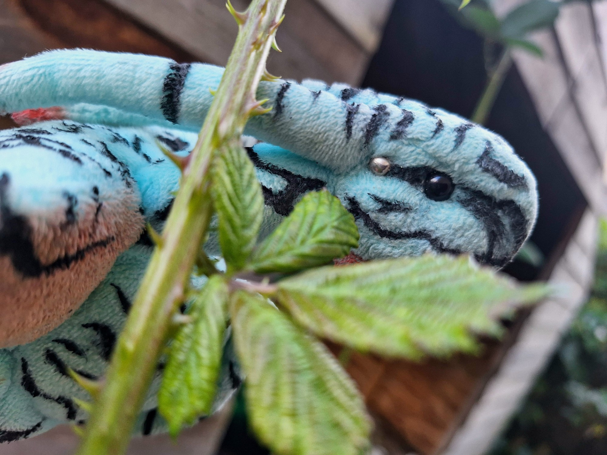 A banshee plush hides behind a small leaf growing from a bramble, in front of a shed