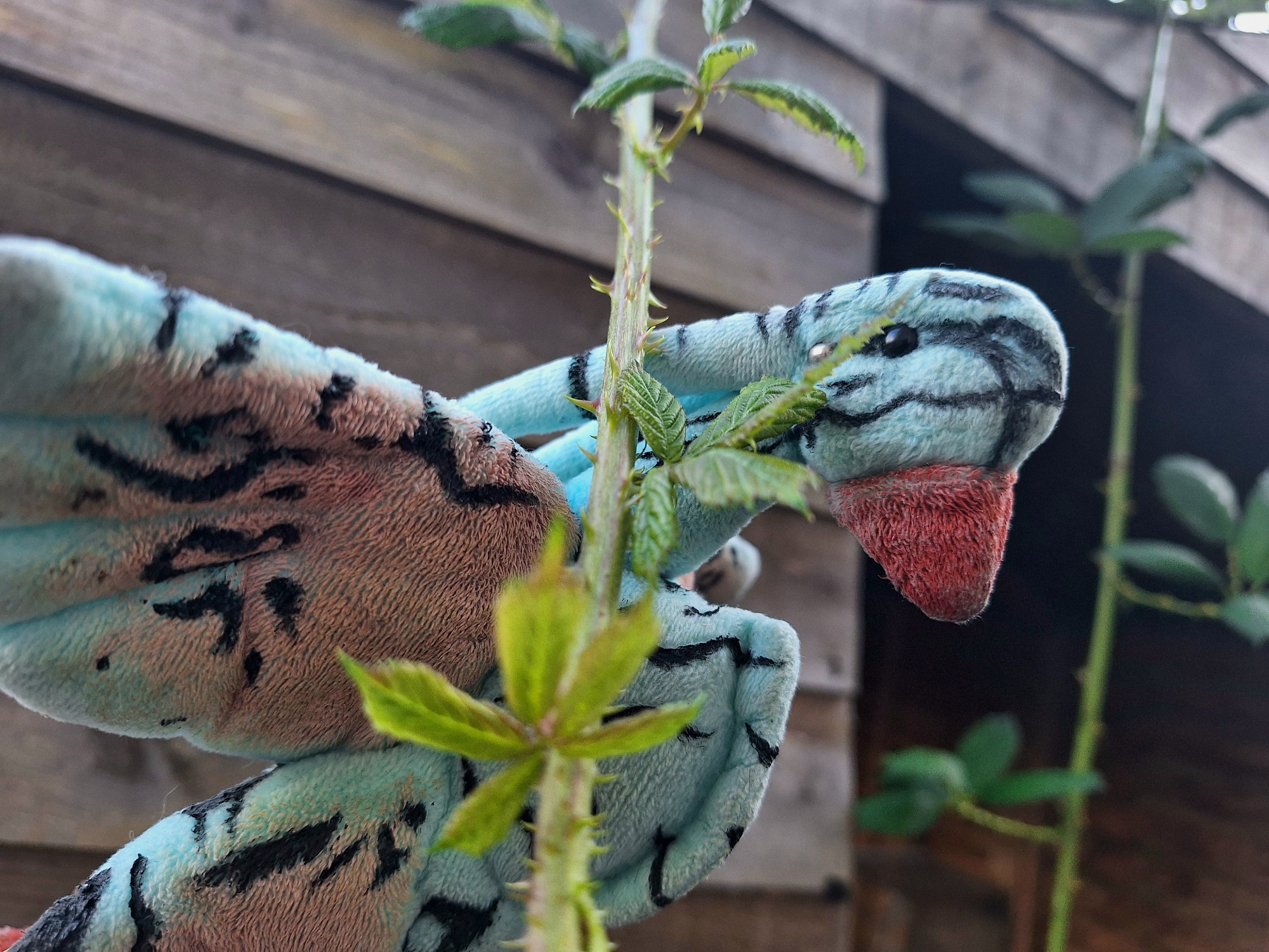 A banshee plush hides behind a bramble, with more branches in the background in front of a shed