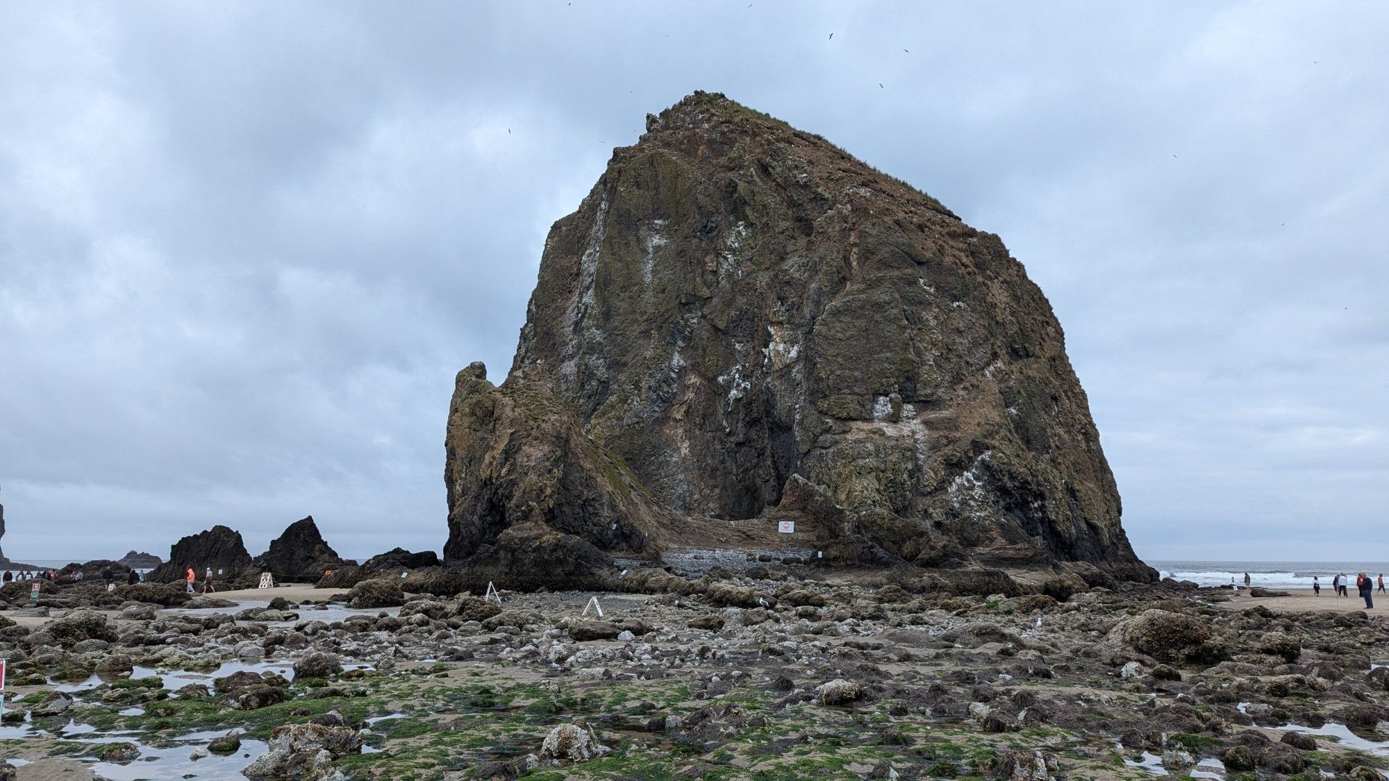 Cannon Beach, Oregon. Haystack Rock. Low Tide