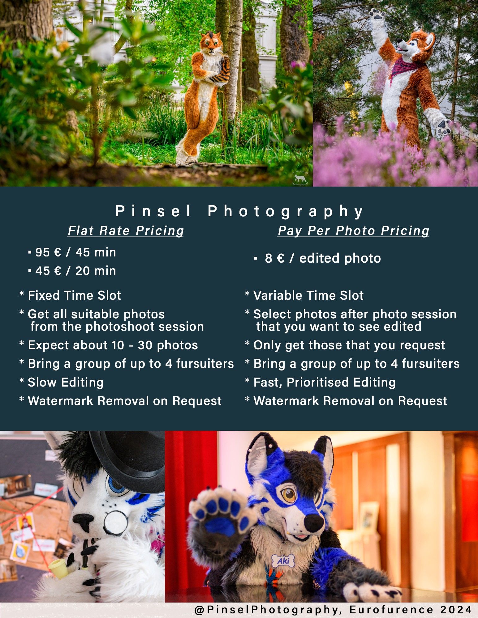 Flat Rate Pricing, 95€/45min, 45€/20min, or pay per photo for 8€/photo. Get all from flat rate pricing (takes time) or get only the selected from pay per photo (fastest).