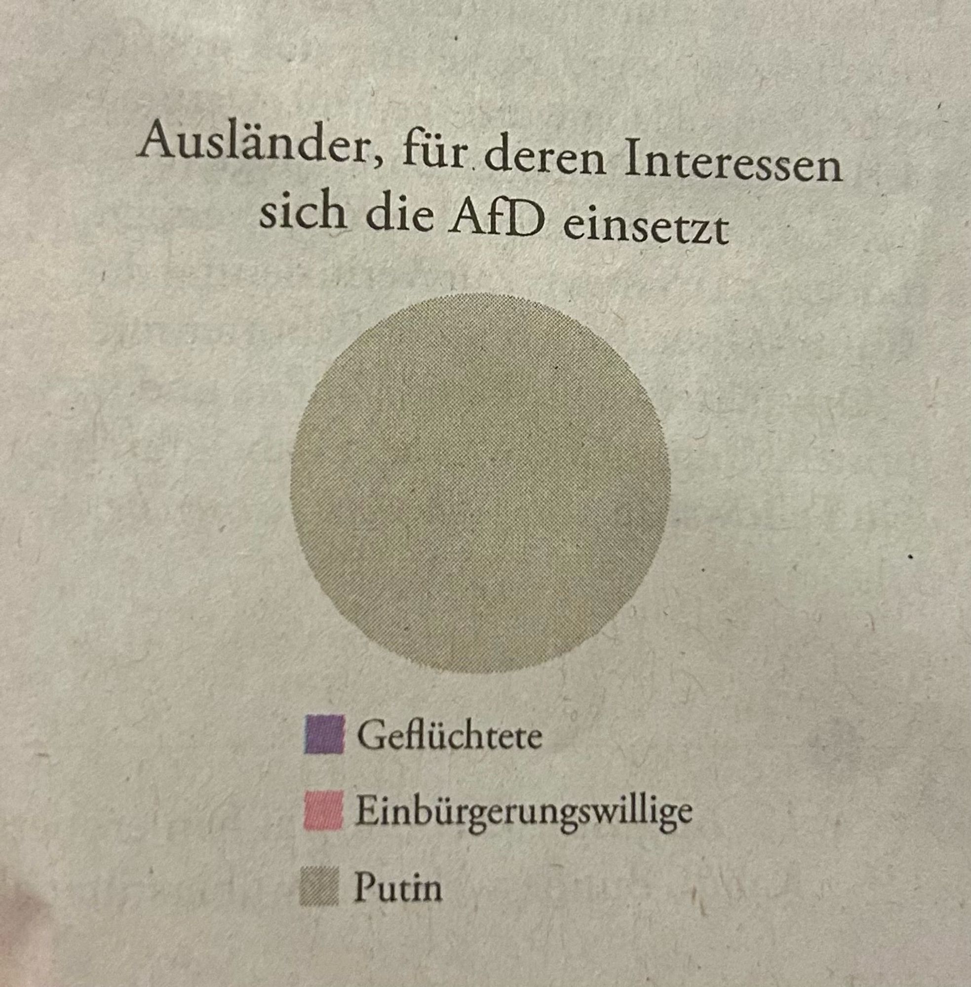 Ausländer, für deren Interessen sich die AfD einsetzt:

Geflüchtete
Einbürgerungswillige
Putin

Die Torte besteht ausschließlich aus der Putin zugeordneten Farbe