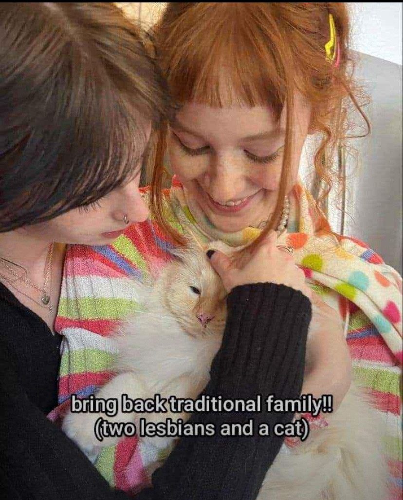 bring back traditional family! (Two lesbians and a cat).

Photo shows two lesbians cuddling a cat