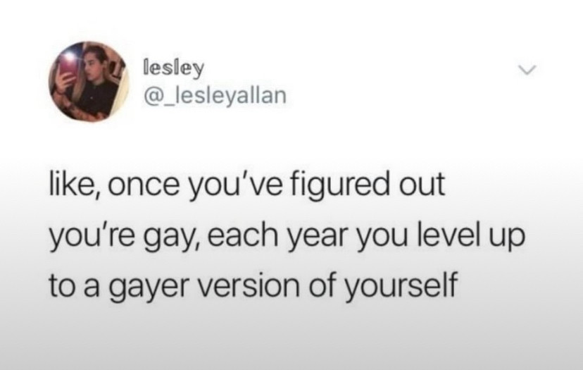 Like, once you’ve figured out you’re gay, each year you level up to a gayer version of yourself