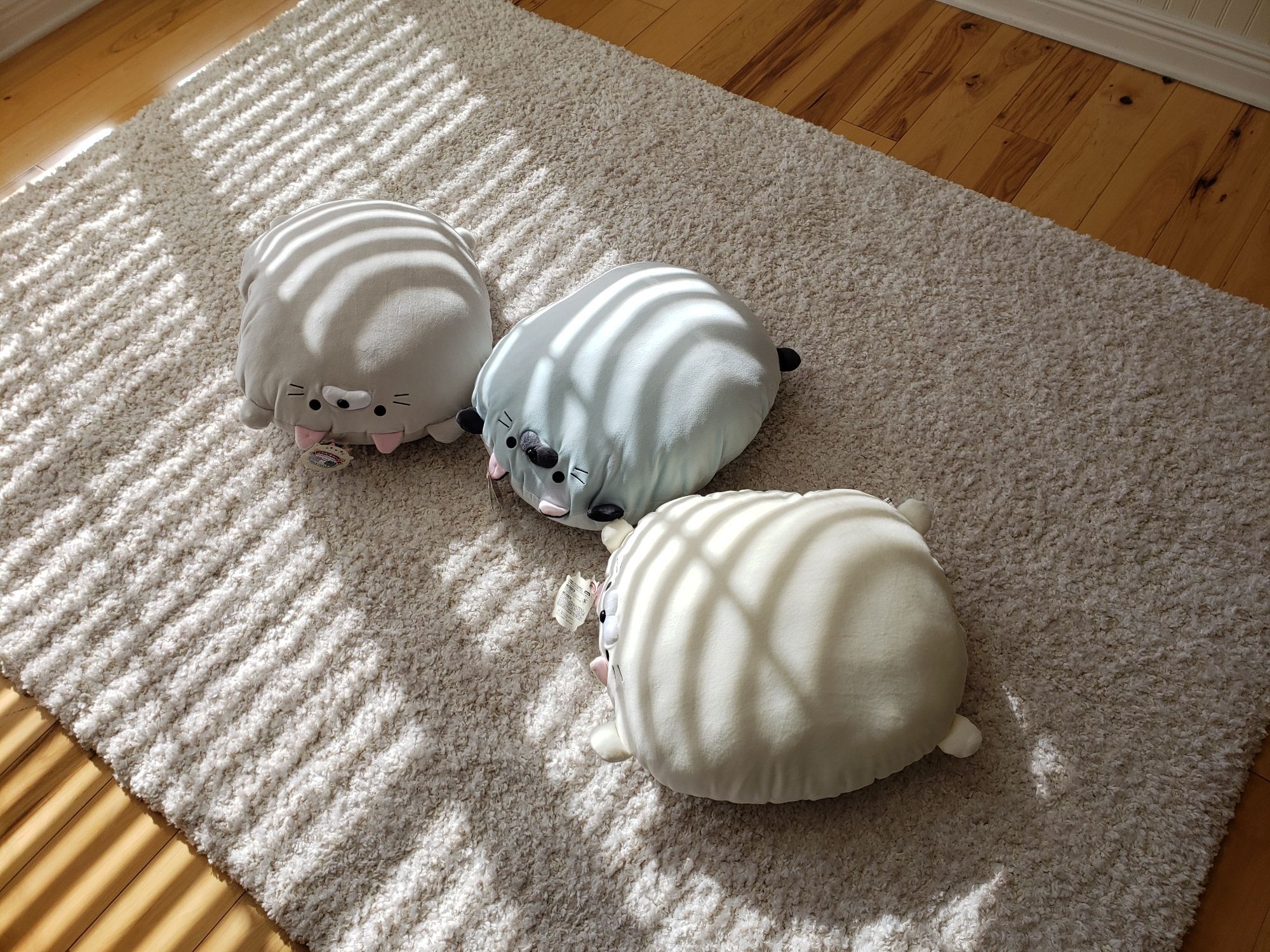 Three of the original Goroneko Summit cats (Itou, Yamada and Watanabe) lying on their backs with their little foot nubbins spread out, enjoying sunbeams~