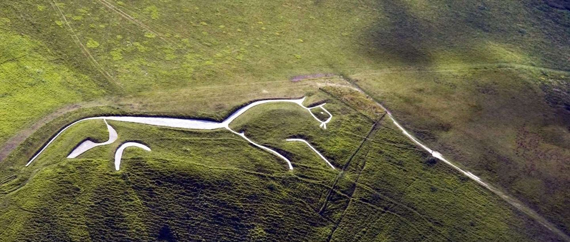 An aerial view of the Uffington White Horse in Oxfordshire, UK. The slender lines of the stylised horse are depicted in rammed chalk, contrasting against the grassland of the steep face of the escarpment.