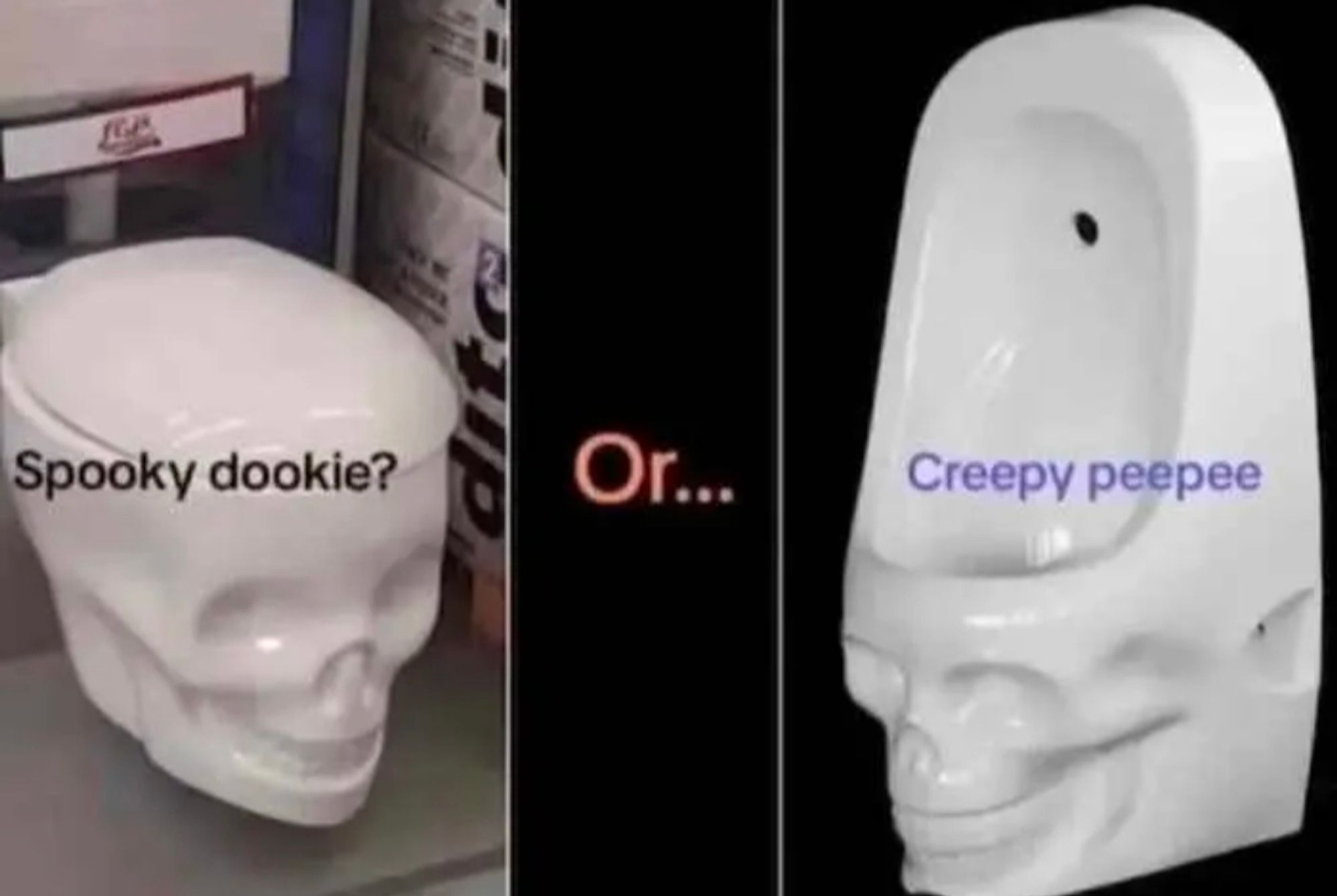 Skull toilet labeled "spooky rookie" or skull urinal labeled "creepy peepee"