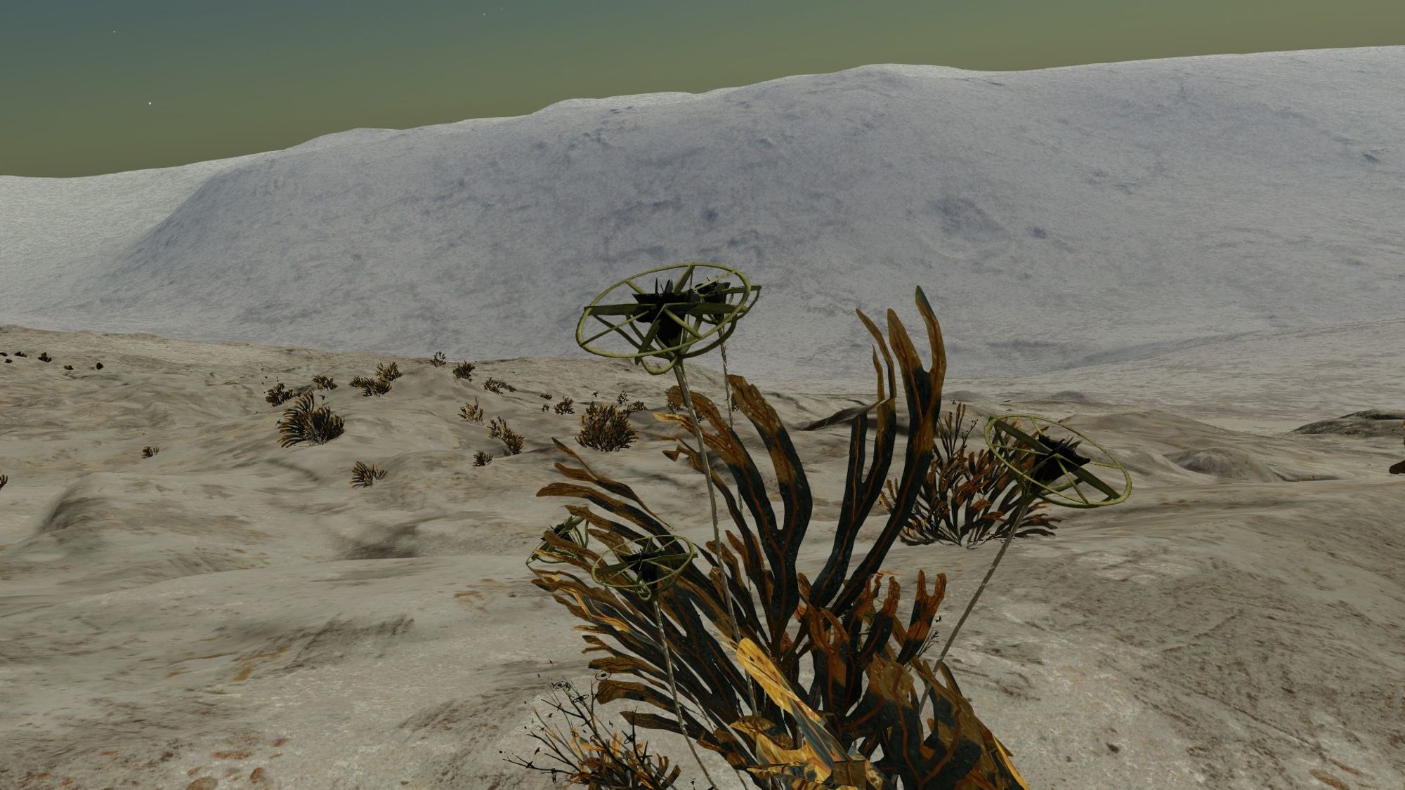 another alien plant on a rocky planet