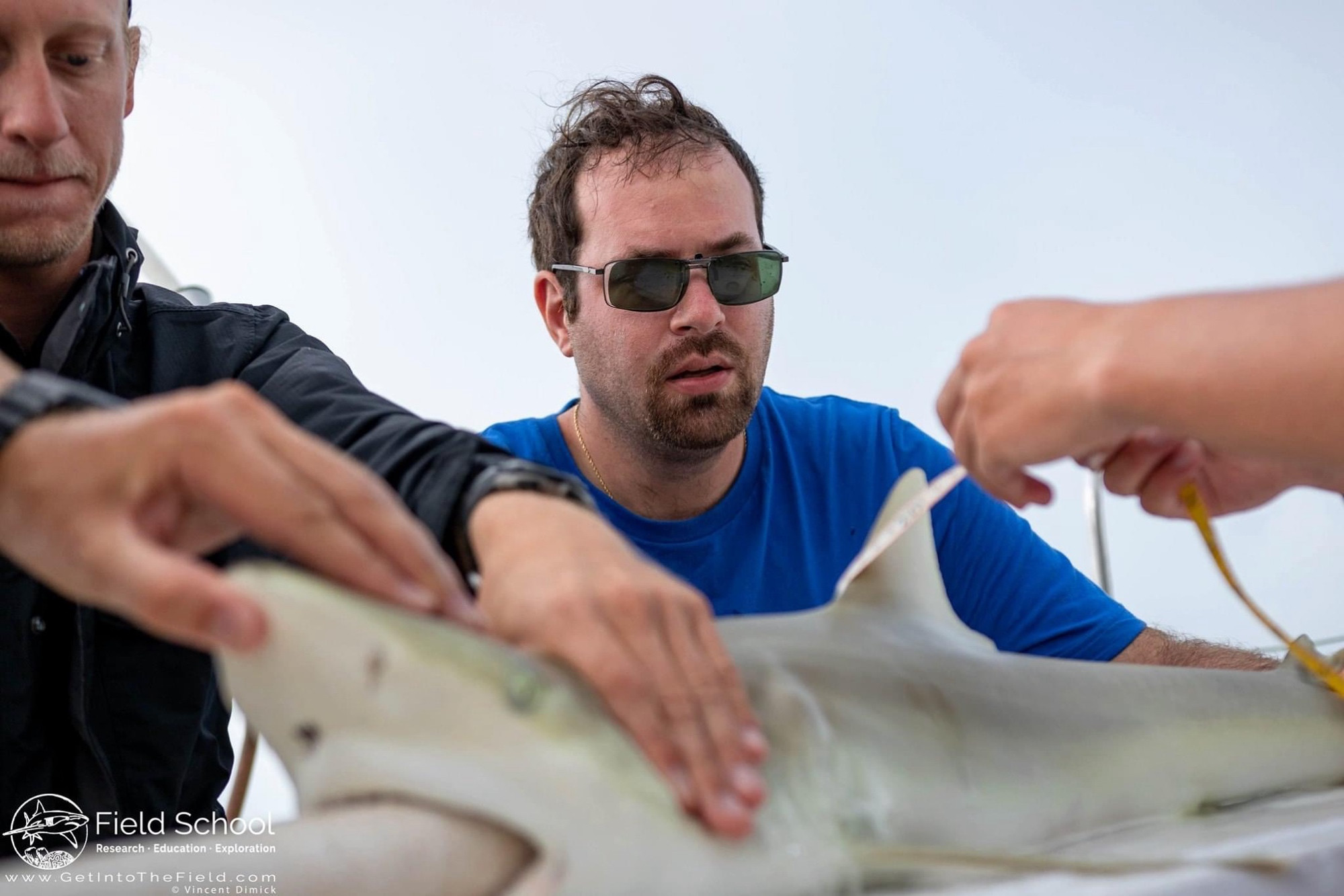 Me securing a shark getting measured for a research workup 