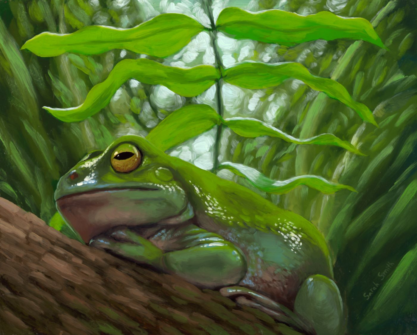 Treefrog laying under foliage