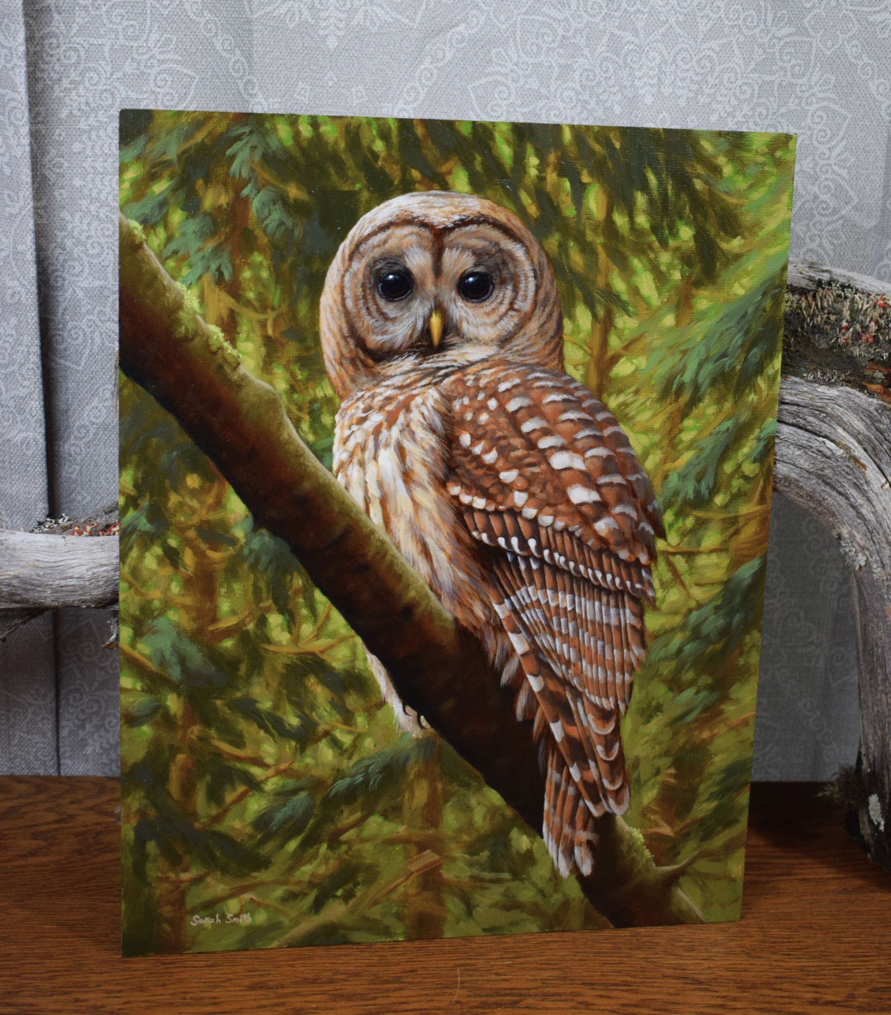 Oil painting of a barred owl on a branch