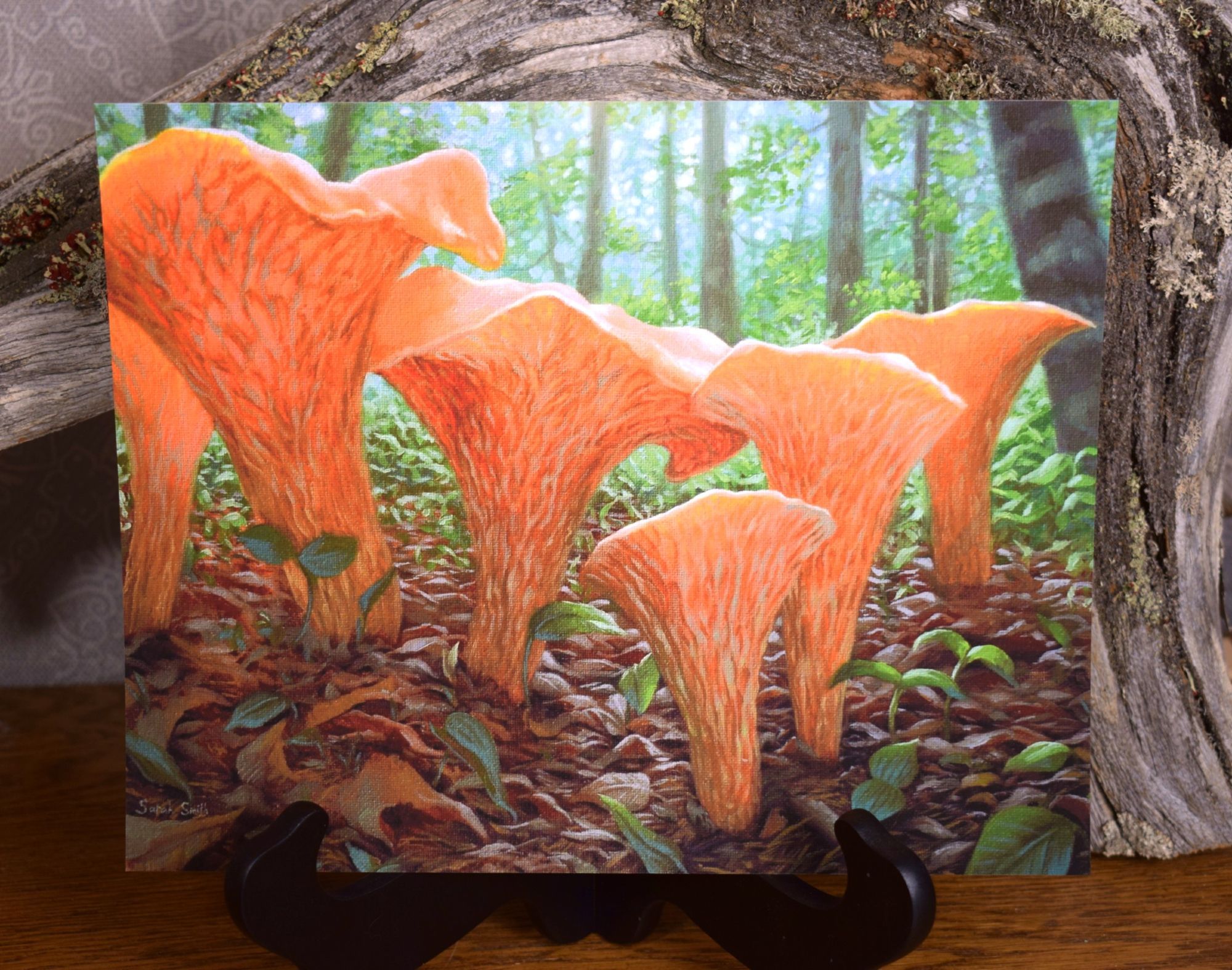 Print of an artwork featuring mushrooms being backlit by the sun.