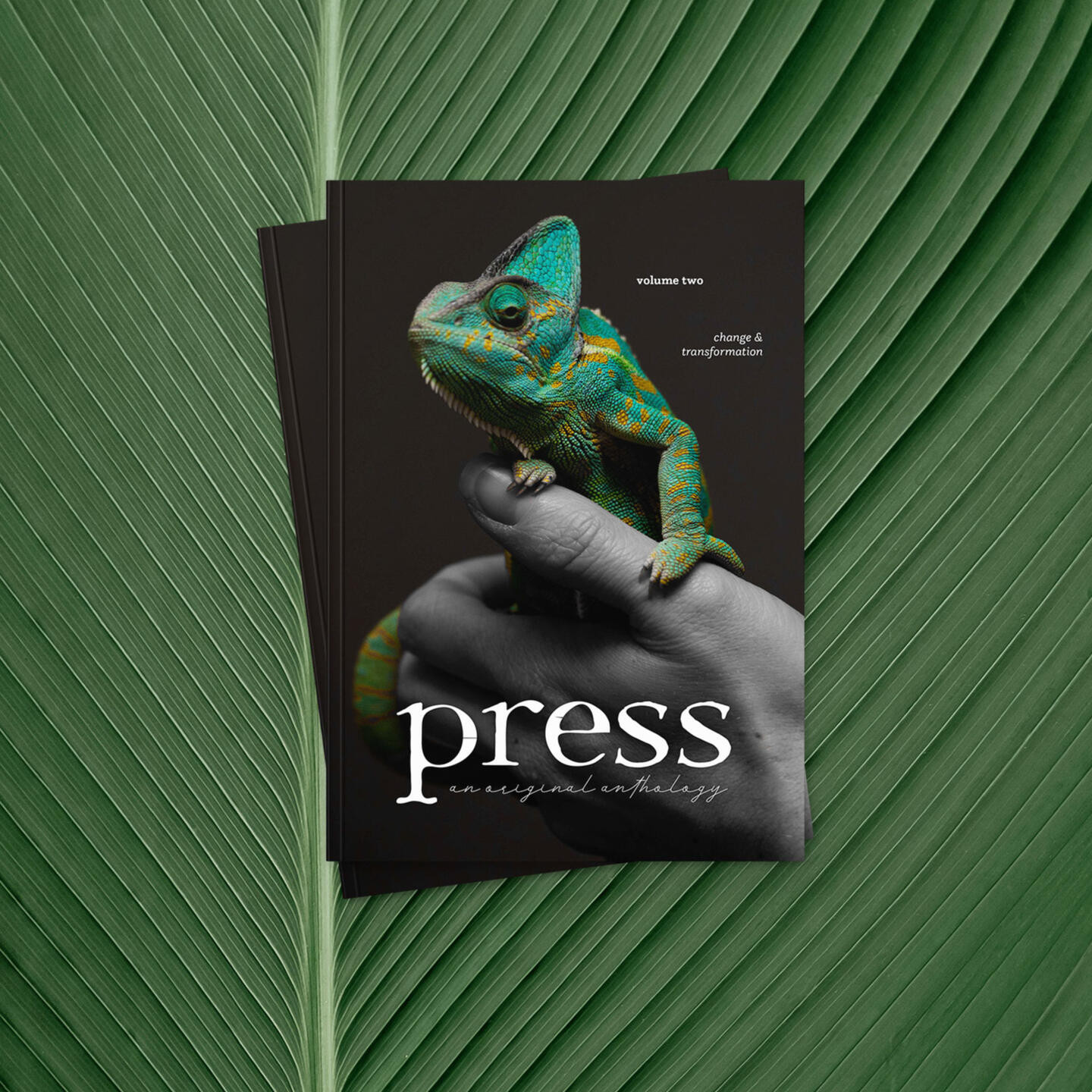 press anthology 2023 cover: a chameleon perching on someone's hand