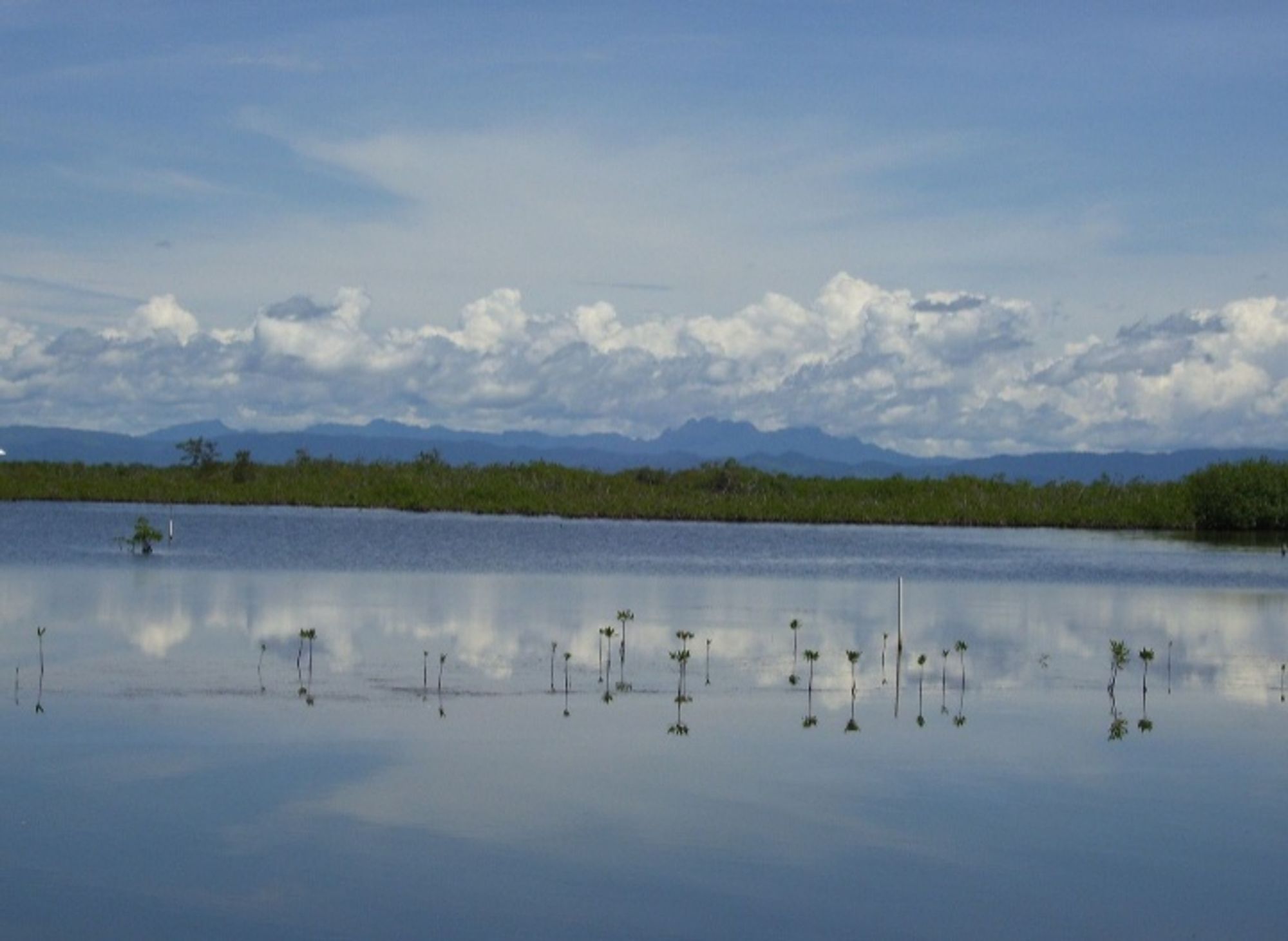 Picture shows calm blue lagoon water reflector blue sky and clouds. There are mangroves and mountains in the background.