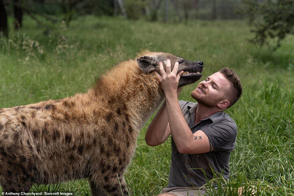 Image of Yeens