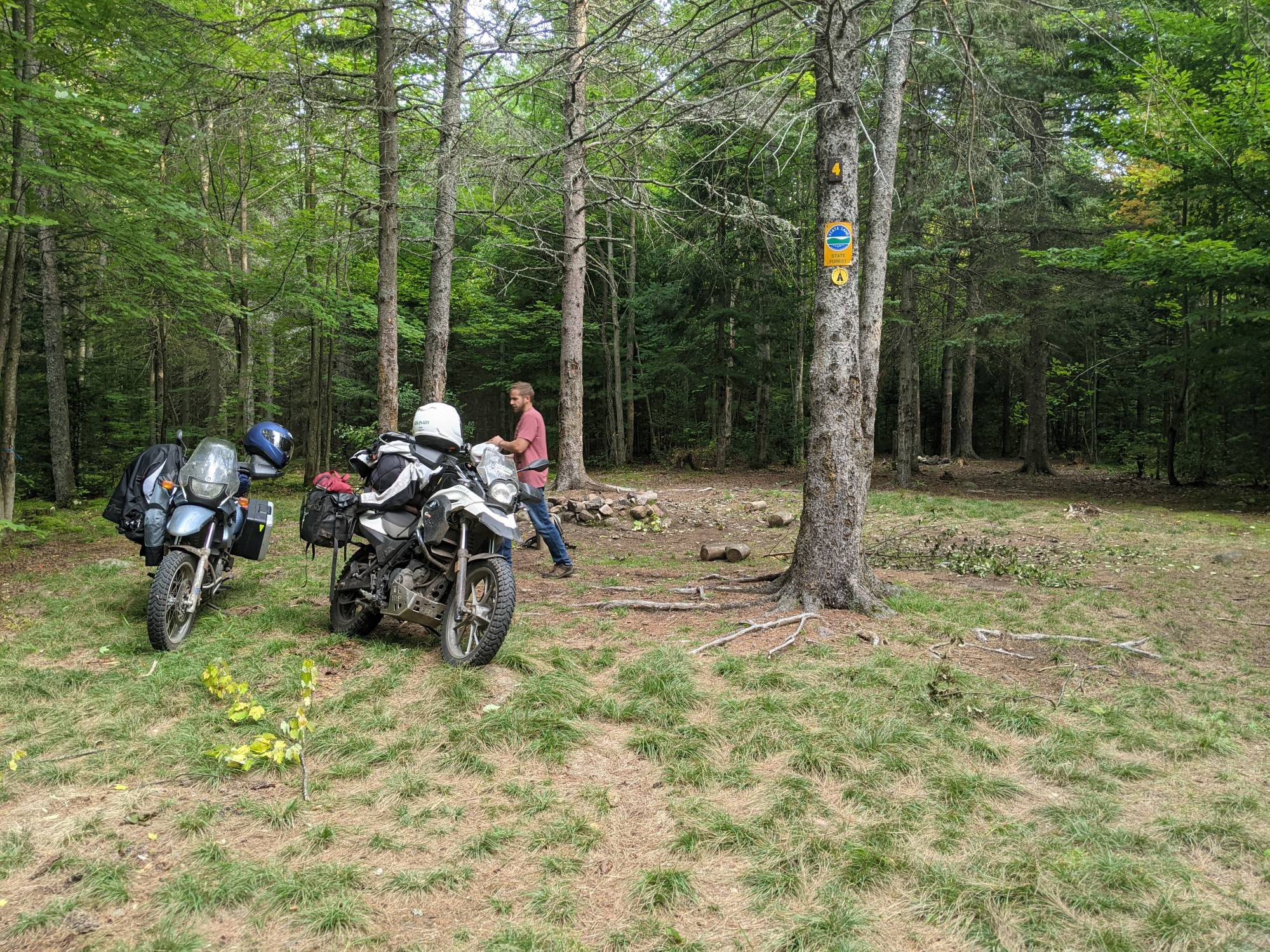 Two motorcycles parked at a primitive NYS DEC campsite. Campsite is all cleaned up.