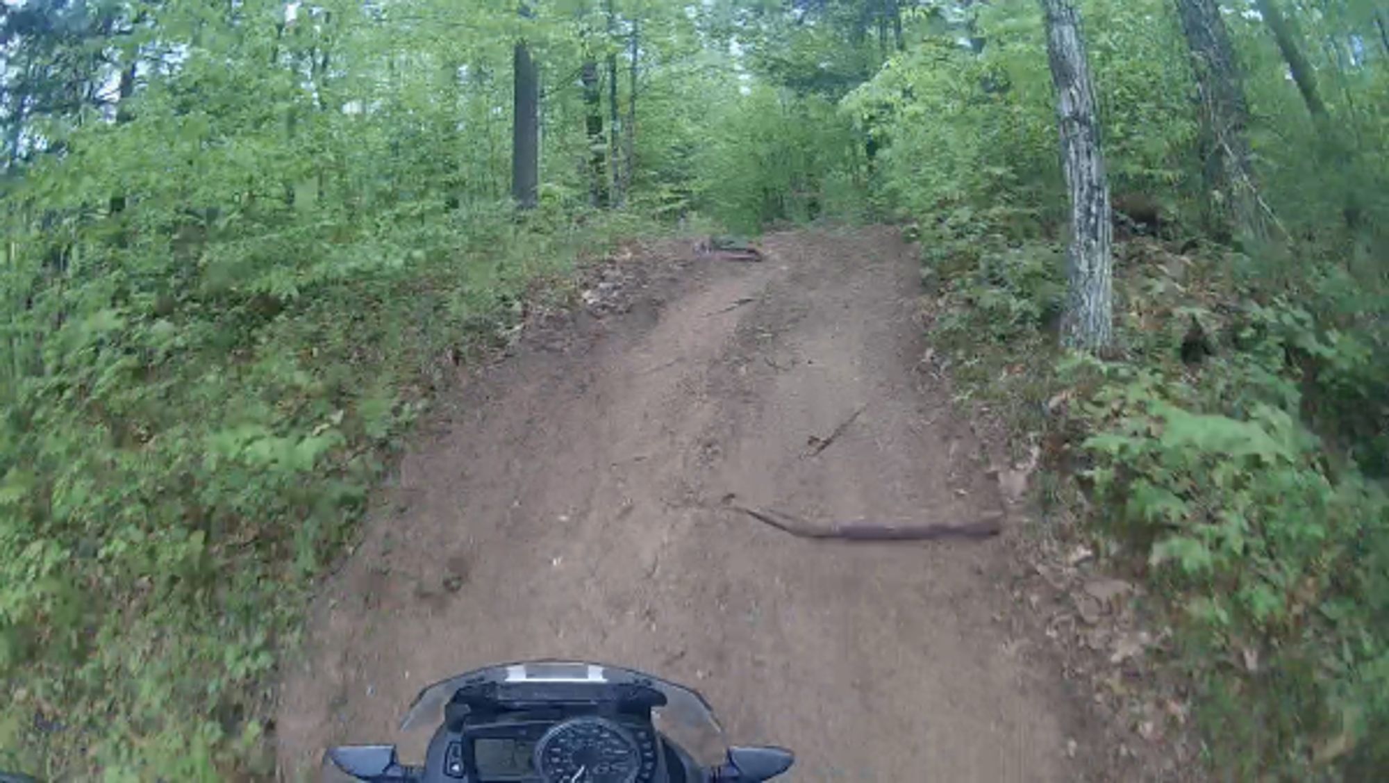 A steep dirt trail cresting up through a bright green wooded forrest  captured from the motorcycle Rider's perspective looking over the top portion of a motorcycle console dash is just visible at the bottom.