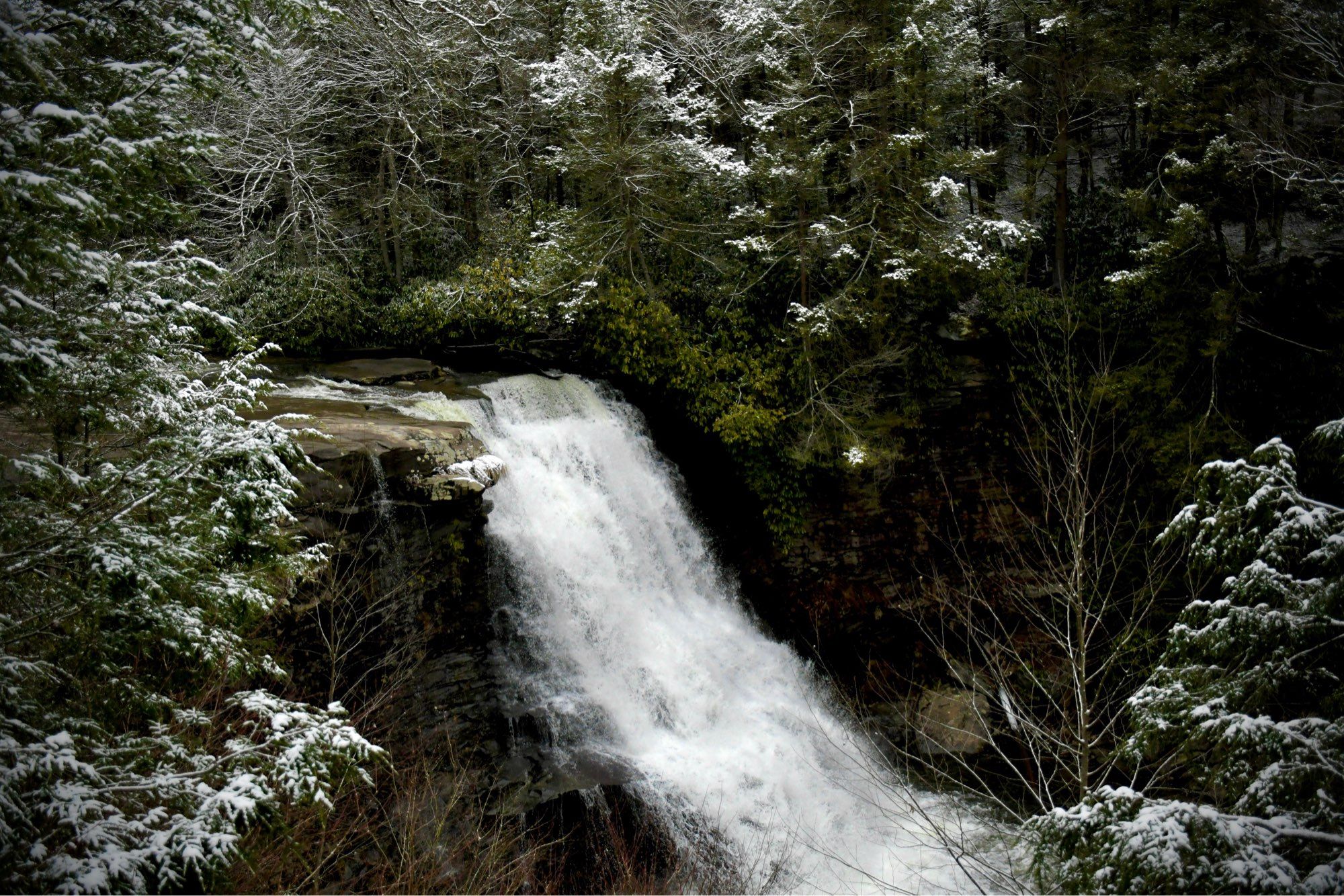 Muddy Creek Falls waterfall amid snow-covered forest at Swallow Falls State Park.