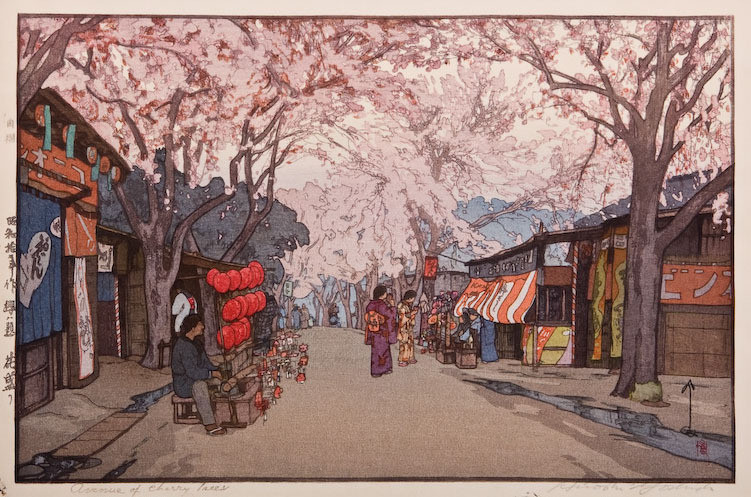 Avenue of Cherry Trees