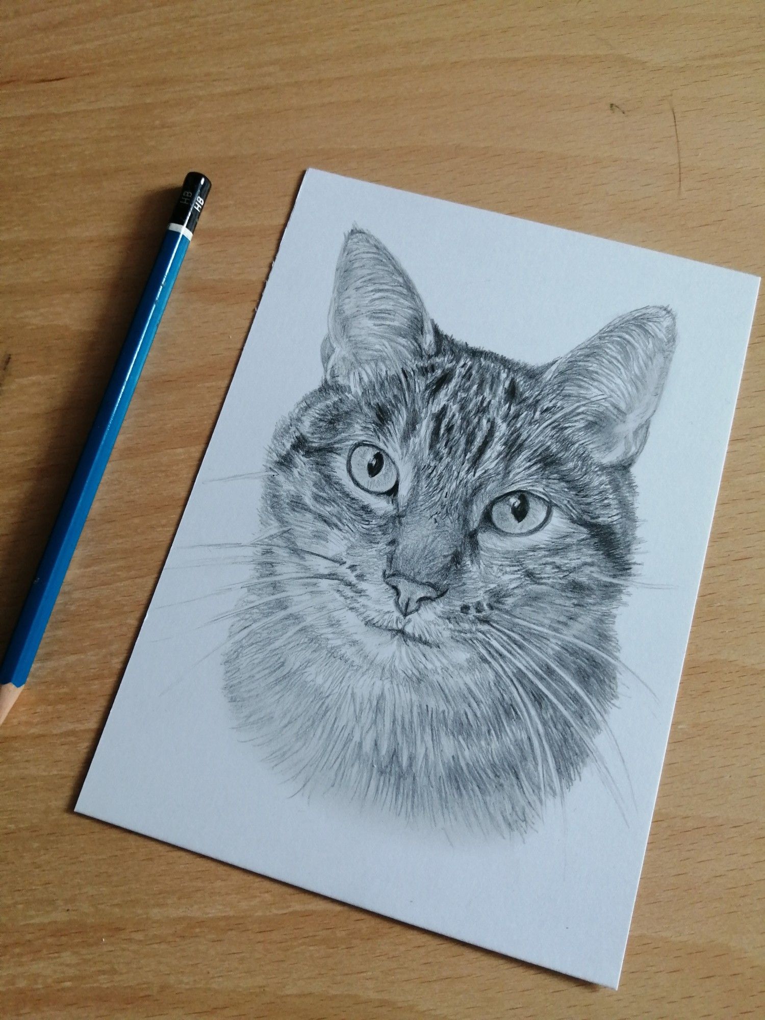 Drawing of a tabby cat, with a pencil to the left of the paper