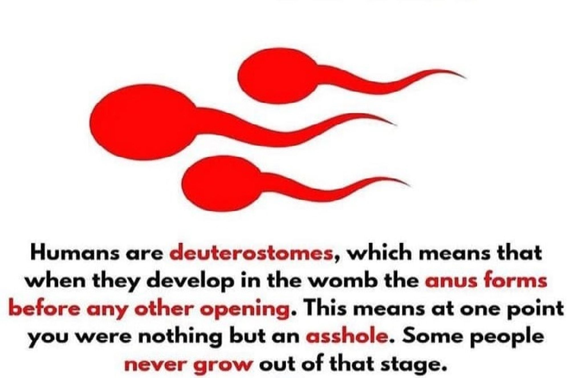 Humans are deuterostomes, which means that when they develop in the womb the anus forms before any other opening. This means at one point you were nothing but an asshole. Some people never grow out of that stage.