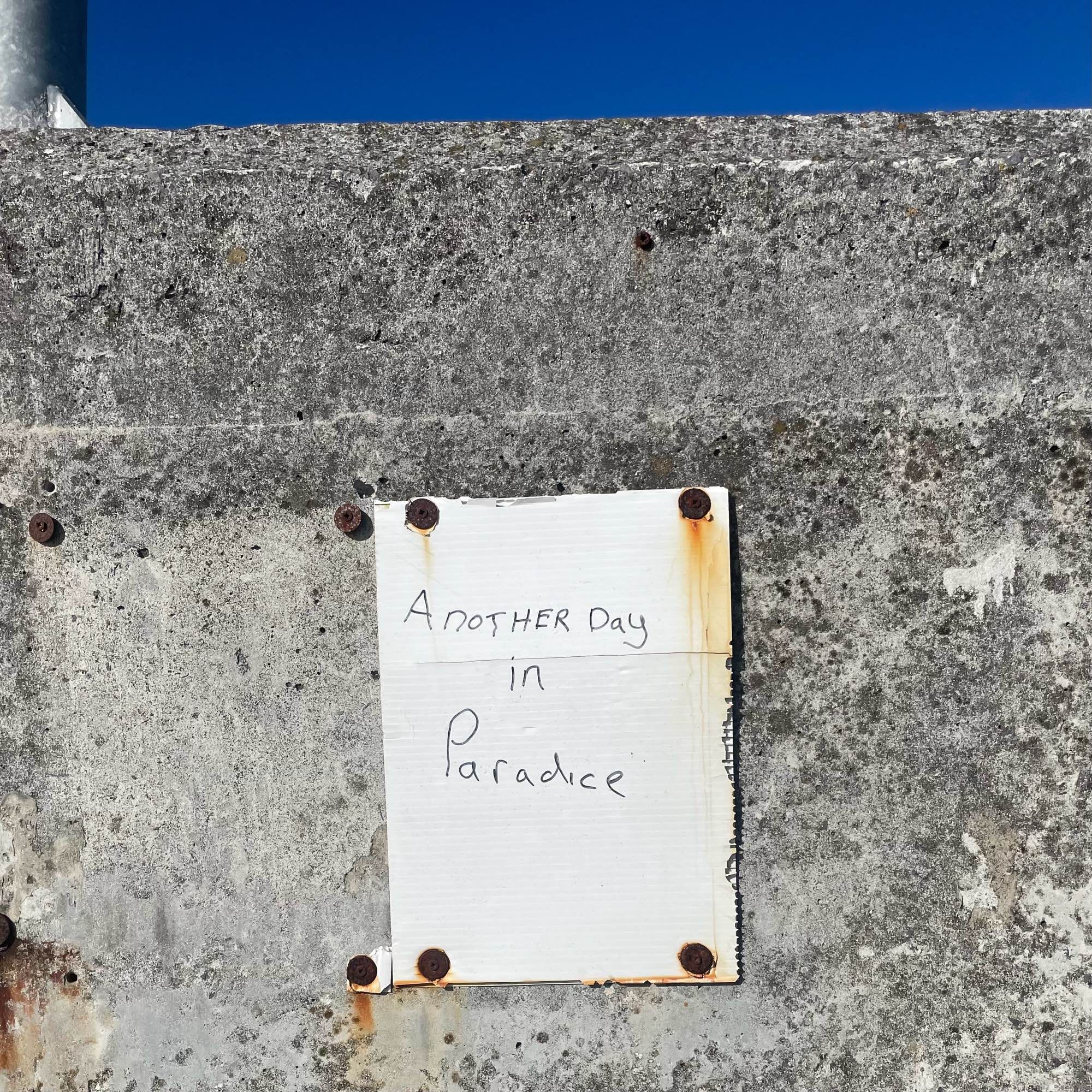 Eine Betonmauer, darüber ein Streifen blauer Himmel. An der Mauer, befestigt mit rostigen Nägeln, ein weißes Plastikschild, darauf steht in Handschrift “Another Day in Paradice”