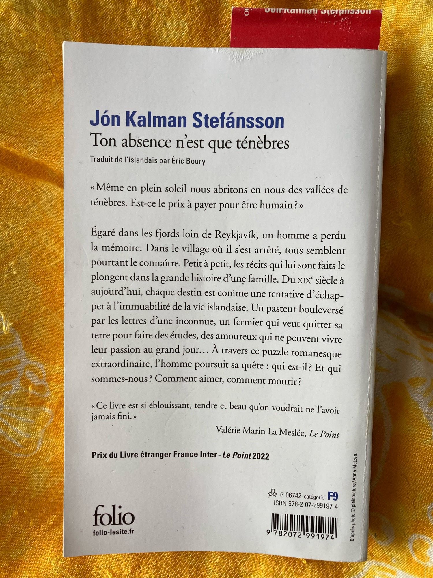 Quatrième de couverture du livre. On y lit:
« Même en plein soleil nous abritons en nous des vallées de ténèbres. Est-ce le prix à payer pour être humain? »
Égaré dans les fjords loin de Reykjavik, un homme a perdu la mémoire. Dans le village où il s’est arrêté, tous semblent pourtant le connaître. Petit à petit, les récits qui lui sont faits le plongent dans la grande histoire d’une famille. Du 19eme siècle à aujourd’hui, chaque destin est comme une tentative d’échapper à l’immuabilité de la vie islandaise. Un pasteur bouleversé par les lettres d’une inconnue, un fermier qui veut quitter sa terre pour faire des études, des amoureux qui ne peuvent vivre leur passion au grand jour… À travers ce puzzle romanesque extraordinaire, l’homme poursuit sa quête : qui est-il ? Et qui sommes-nous? Comment aimer, comment mourir ?