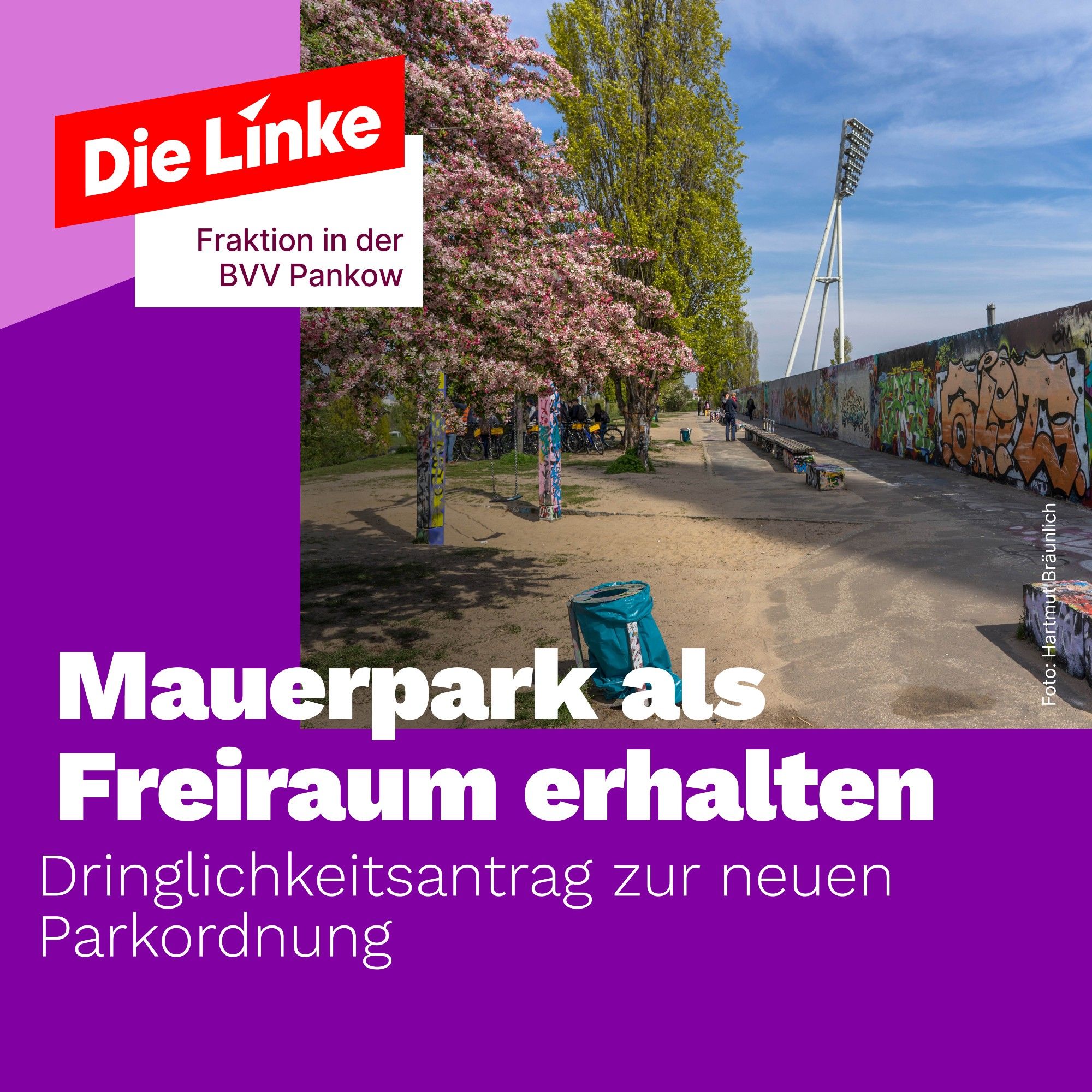 Gezeigt ist ein Foto des Weges entlang der Hinterlandmauer im Mauerpark mit blühenden Bäumen. Über die Mauer ragt einer der unverkennbaren Flutlichttürme des Jahn-Sportparks. Dazu der Titel: Mauerpark als Freiraum erhalten. Dringlichkeitsantrag zur neuen Parkordnung.