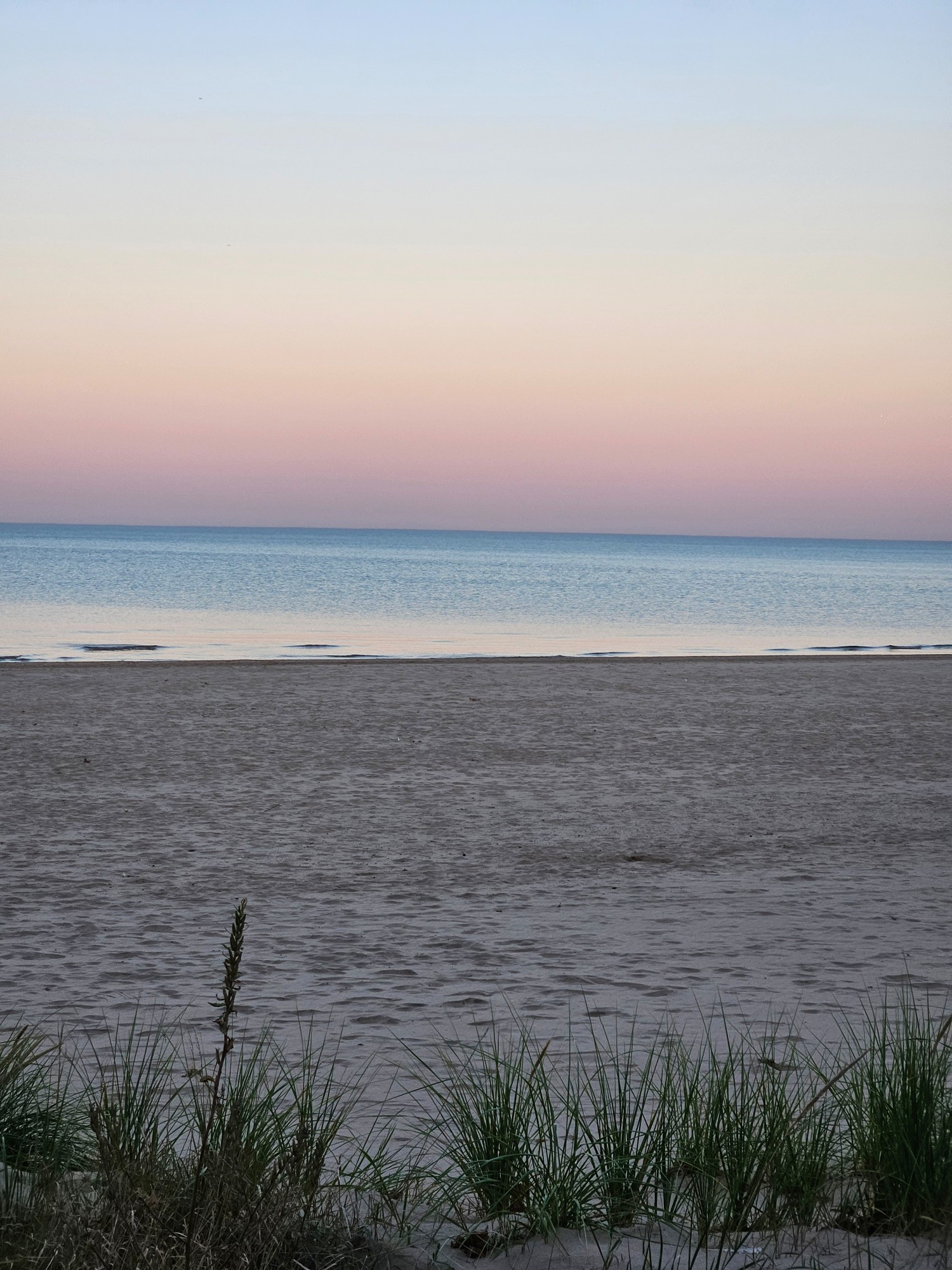 A picture of the sky turning red above a calm body of water. The midline of the image is the shore line of a sandy beach with grasses in the foreground.