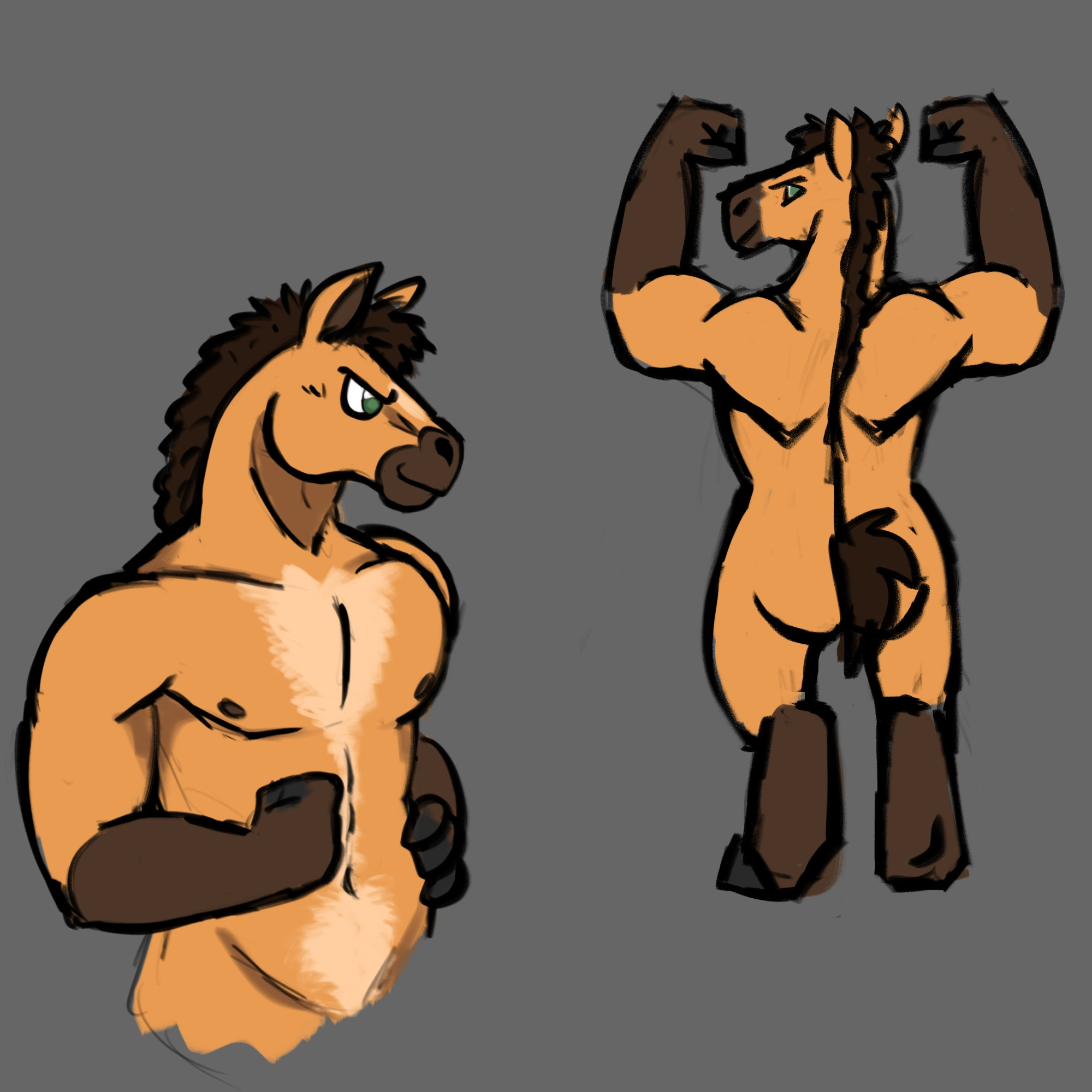 Two digital pencil drawings of my anthro horse OC. One on the left is a bust sketch of him looking determined. The second is a rougher fullbody sketch of him standing and flexing his arms, facing away and looking smug. He has a short cut dark brown mane and tail, with golden tan fur and light brown fur from his hooves to elbows. He has a flash of lighter beige fur down the middle of his chest to his belly, and light green eyes. 