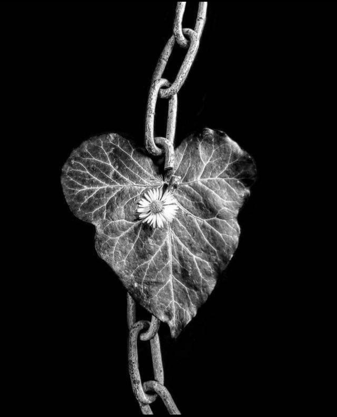 #BreakTheChains

- It's not strength that breaks down resistance, but the ability to never give up.

#ƒred.ƒorge

Excerpt from a forthcoming book : 

"The Cry"
[When Silence Becomes Rebellion]
