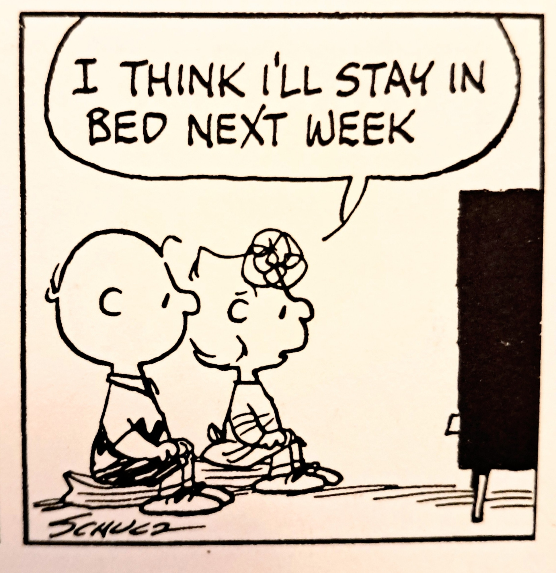 a panel from a Peanuts strip by Charles M. Schulz shows Charlie Brown and his sister Sally watching television. Sally says "I think I'll stay in bed next week."