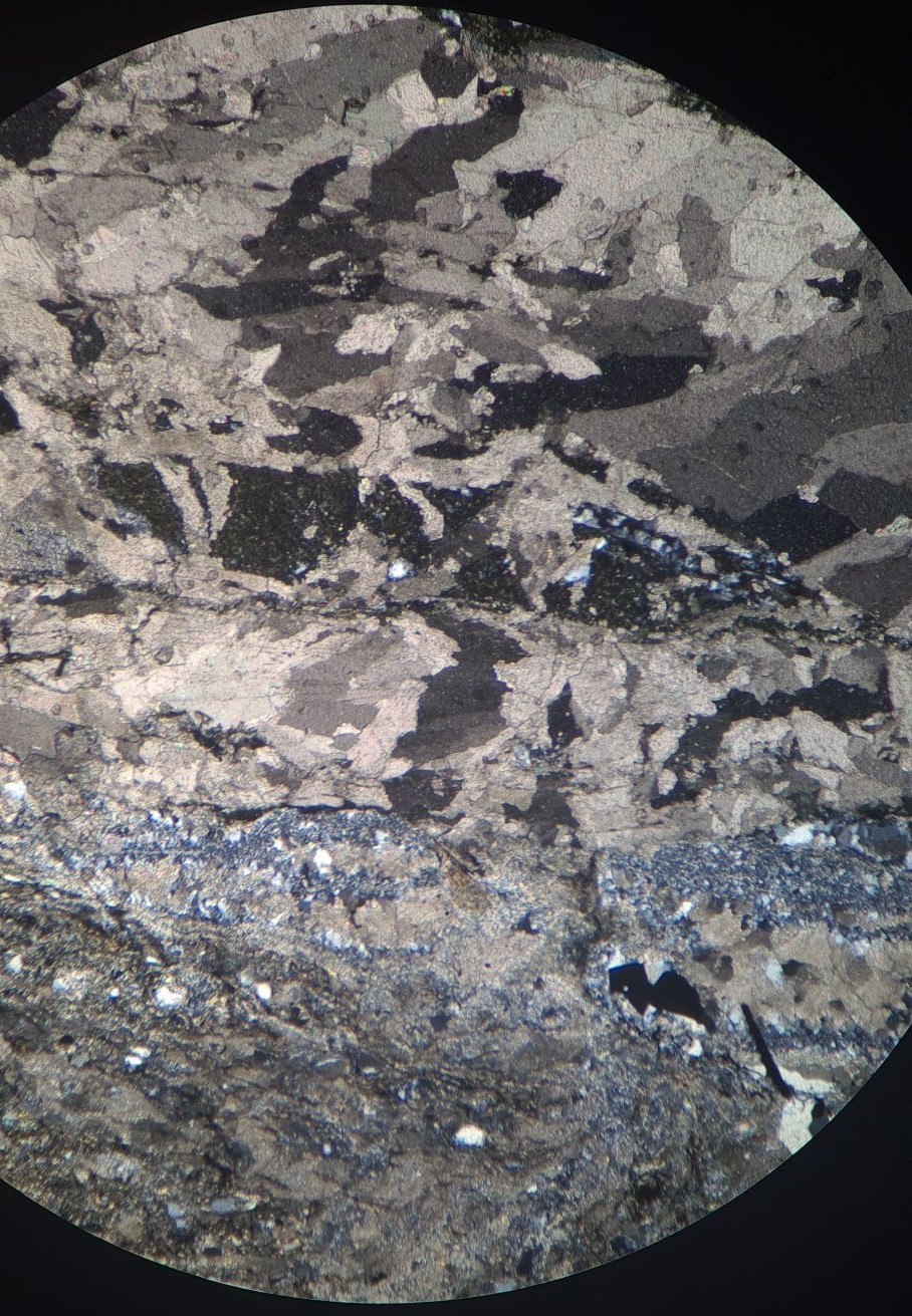 Microscope photo of a rock viewed in cross polarised light. The rock is composed of a messy mosaic of fractures white, grey, beige, black, and dark green mineral grains. The dark green greens look like long sausages, the other minerals are irregular angular shapes.