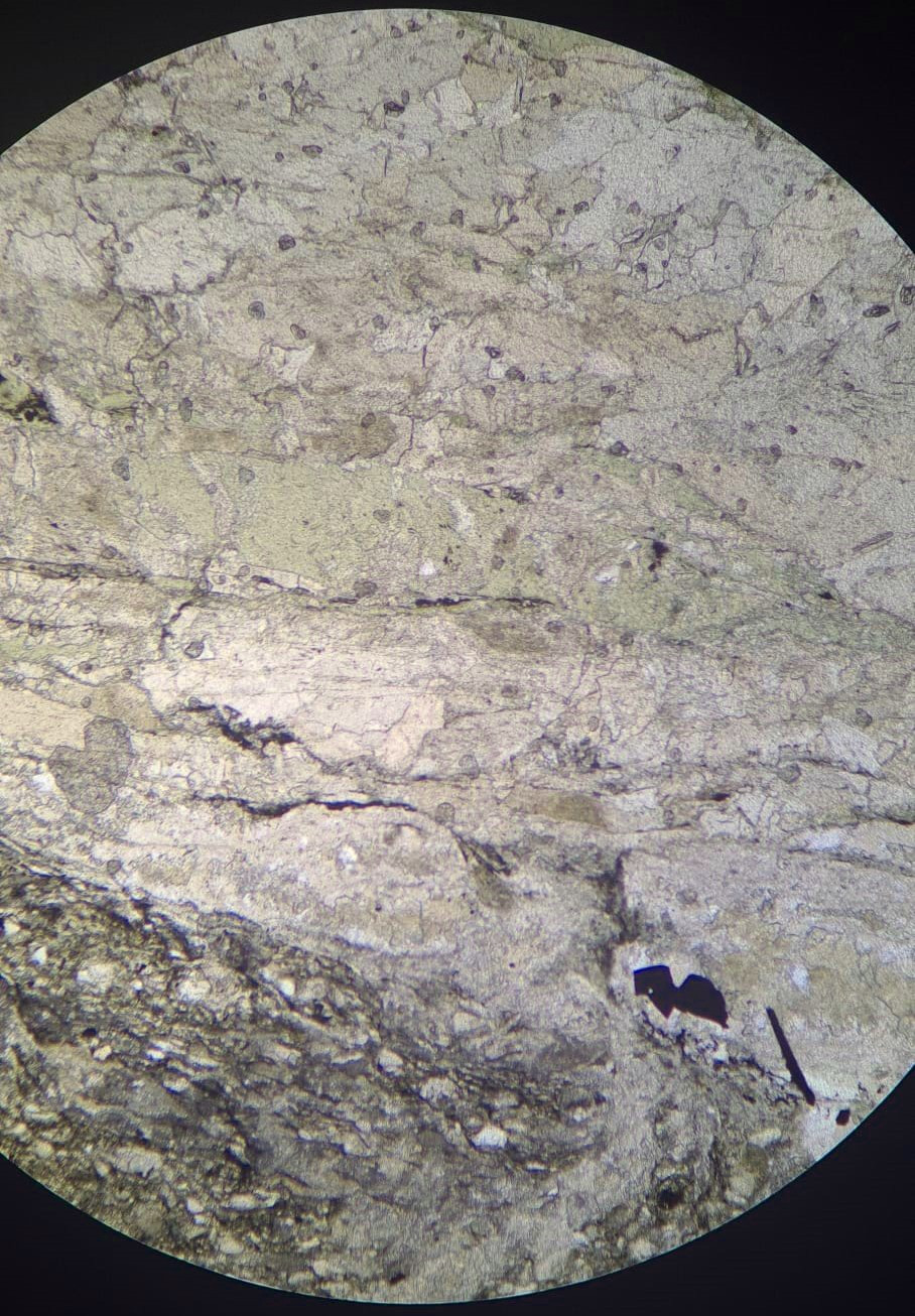 Microscope photo of a rock composed of a messy mix of fractured white, grey, brown, black, and green mineral grains. The green greens look like long sausages, the other minerals are rounded to angular blobs.