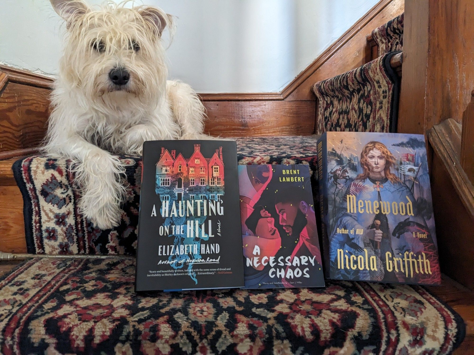 A scruffy dog at the landing of the stairs looking at the camera over copies of A Haunting on the Hill, A Necessary Chaos, and Menewood.