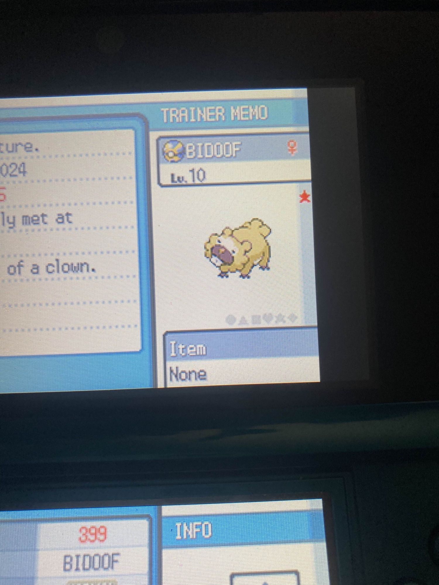 shiny bidoof