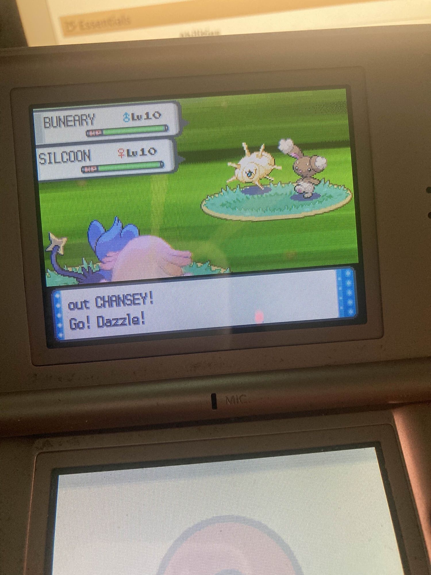 shiny silcoon in a double battle