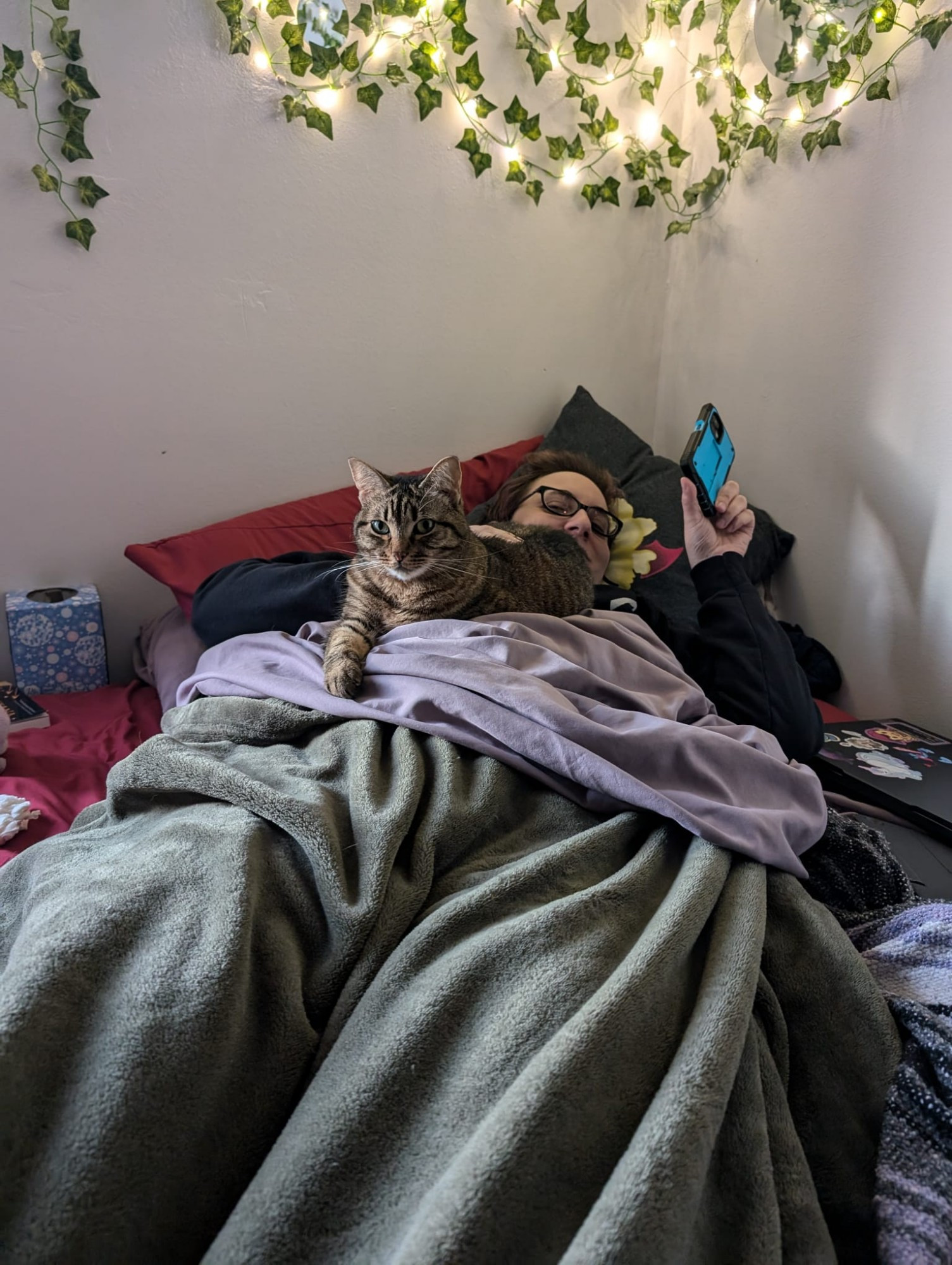 A human is in bed covered in blankets, with a tabby cat sprawled possessively on top of her. There are fairy lights and fake ivy leaves on the wall over the bed. 