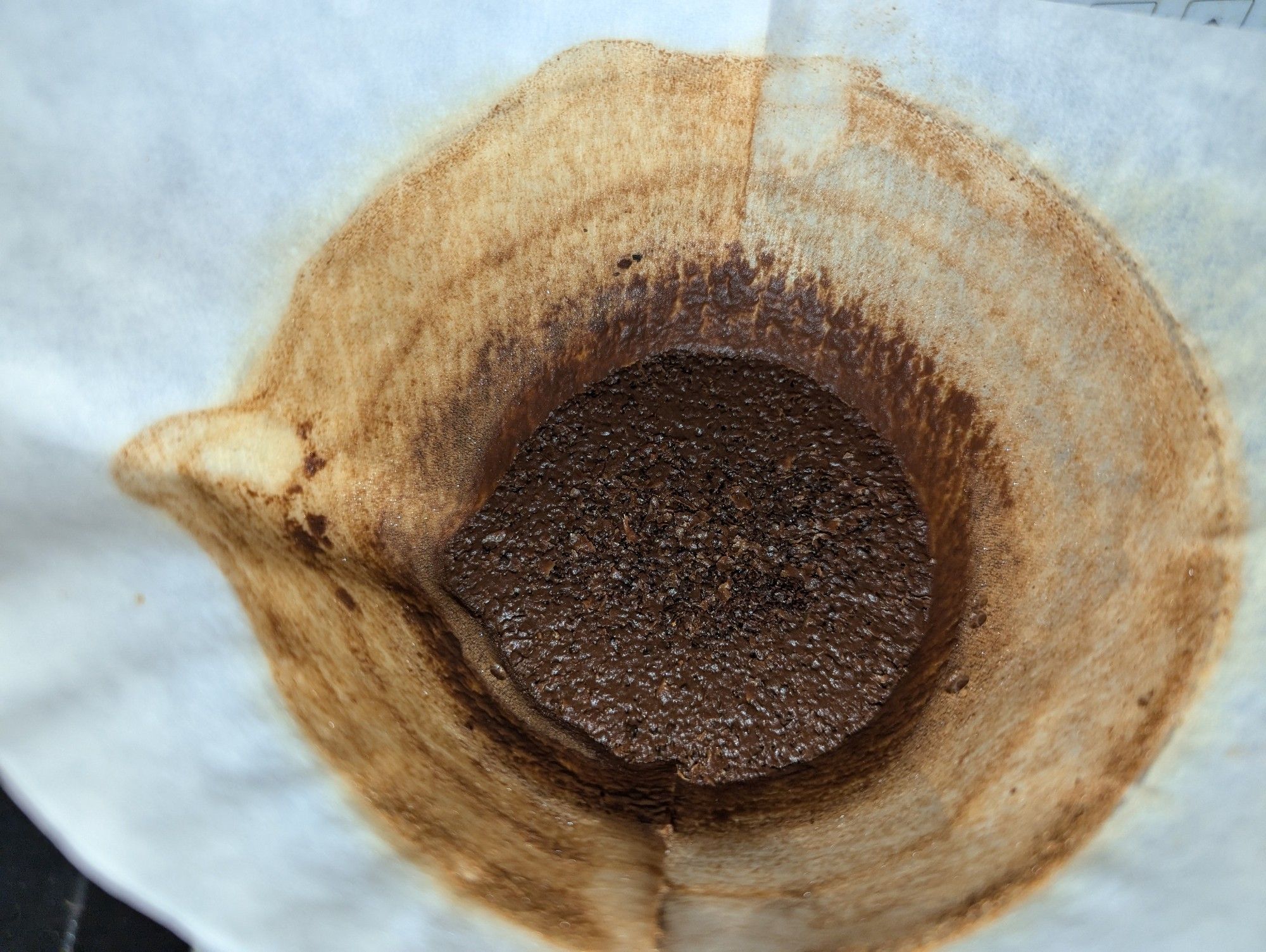 A flat bed of wet coffee grounds in my Chemex.